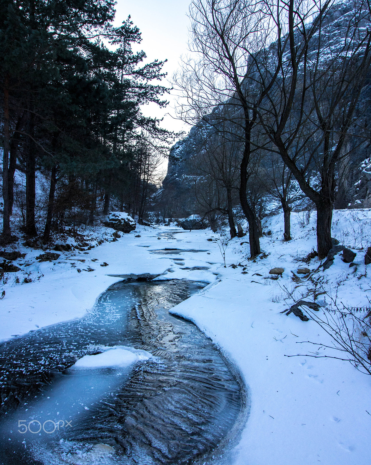 Canon EOS 750D (EOS Rebel T6i / EOS Kiss X8i) sample photo. Frozen moment photography