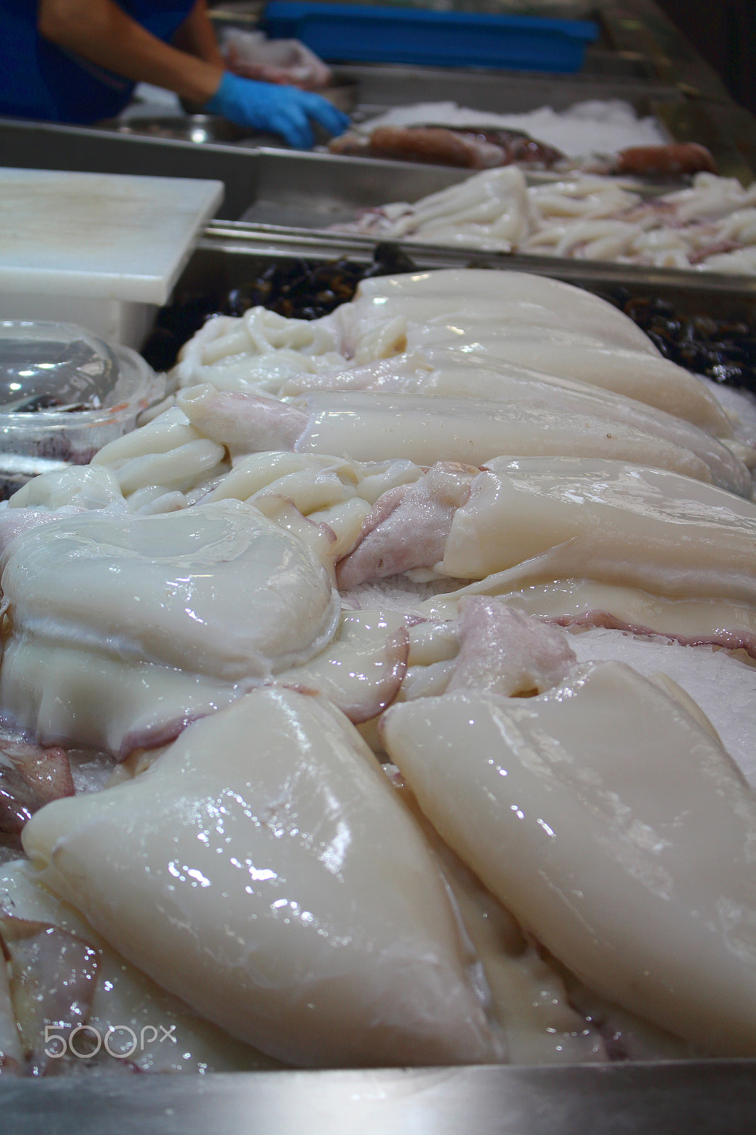Canon EOS 1200D (EOS Rebel T5 / EOS Kiss X70 / EOS Hi) sample photo. Fish market in a european city photography