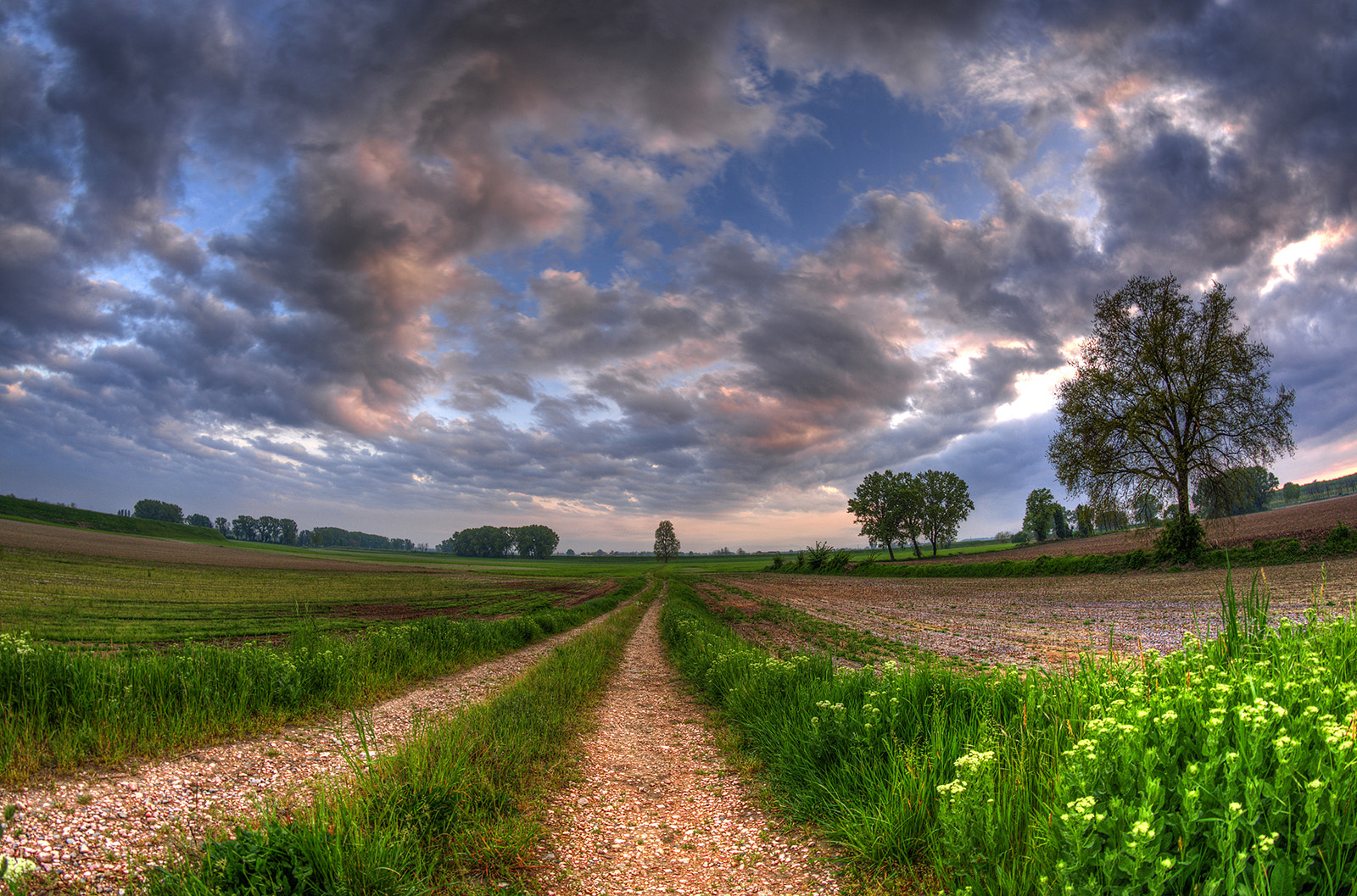 Samyang 8mm F3.5 Aspherical IF MC Fisheye sample photo. Silence after the storm photography