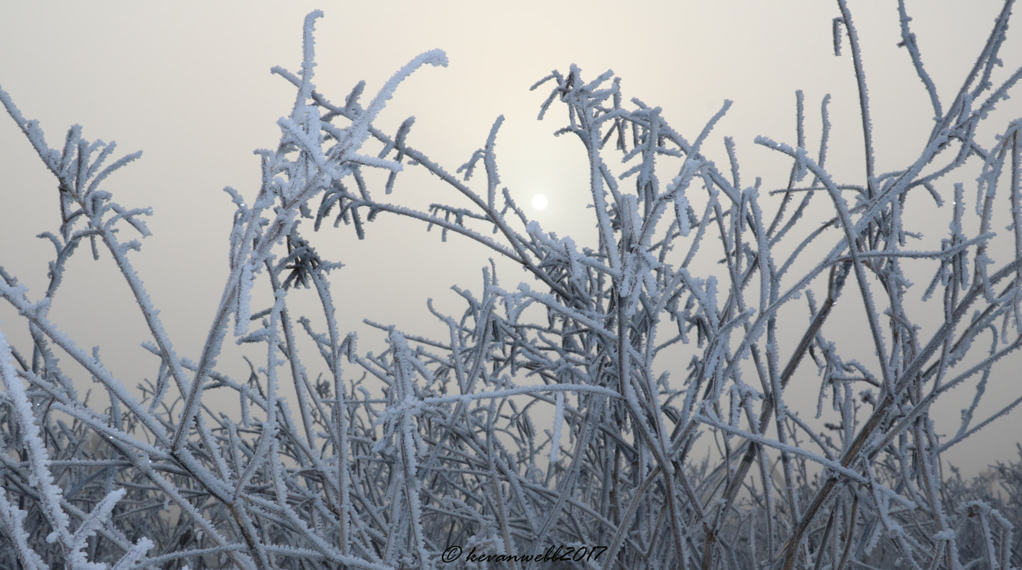 Canon EOS 760D (EOS Rebel T6s / EOS 8000D) sample photo. Sunset through frozen grass photography