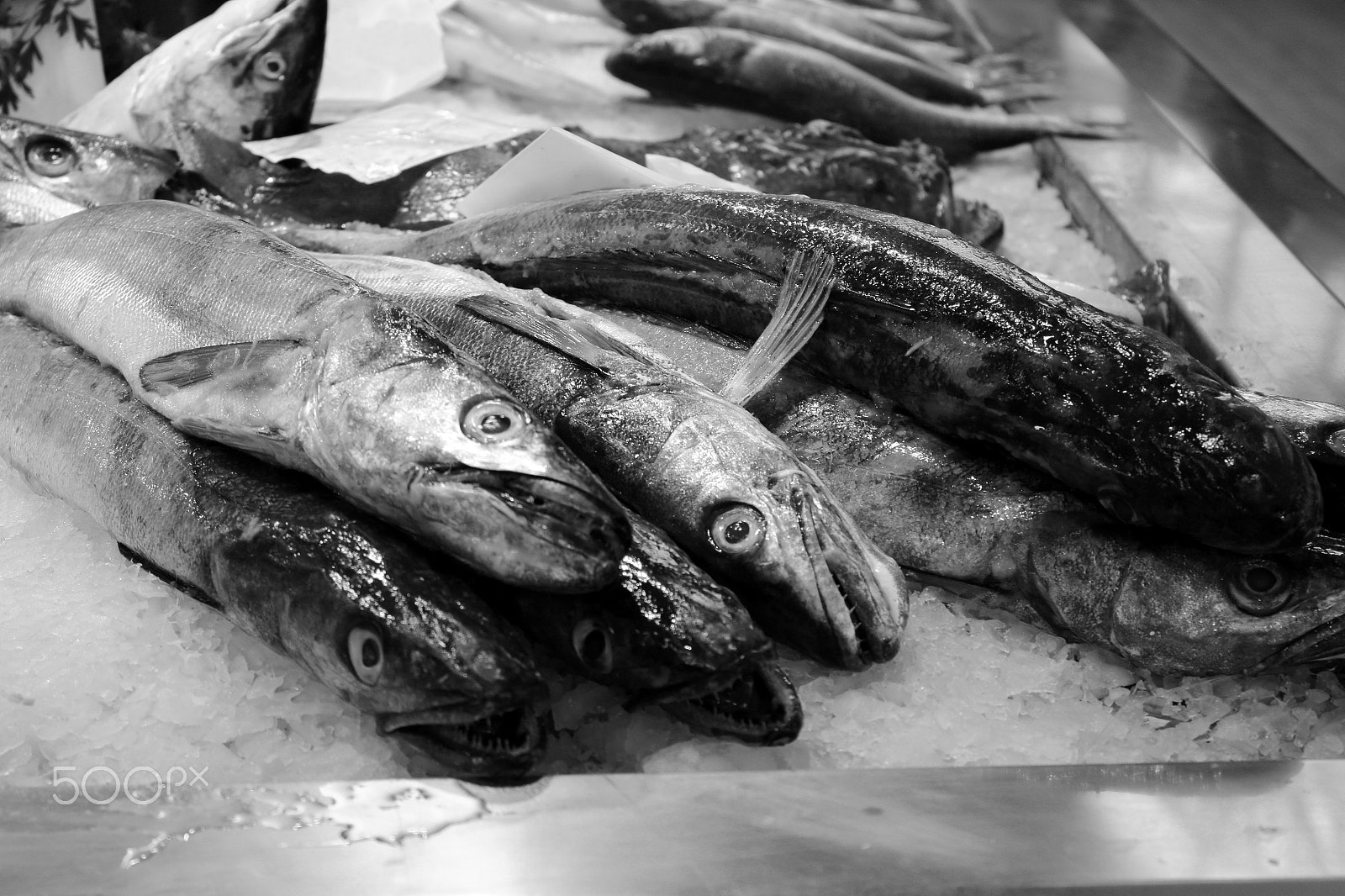 Canon EOS 1200D (EOS Rebel T5 / EOS Kiss X70 / EOS Hi) + Canon EF-S 18-55mm F3.5-5.6 IS STM sample photo. Fish market in a european city photography