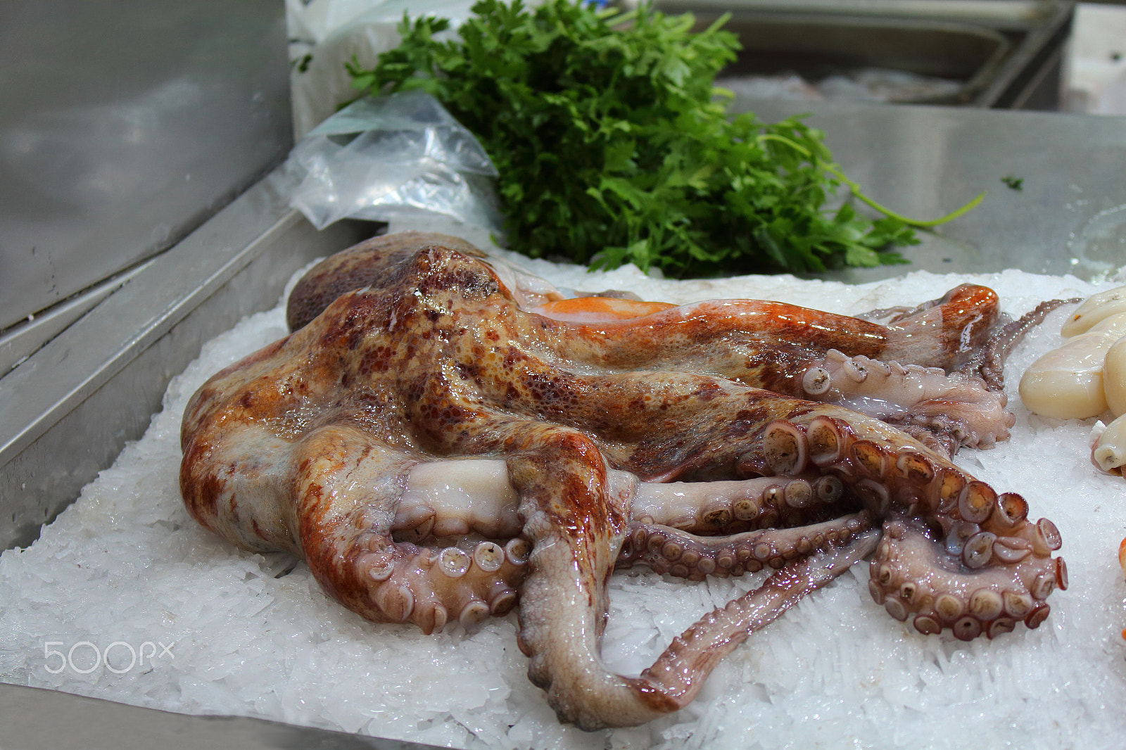 Canon EOS 1200D (EOS Rebel T5 / EOS Kiss X70 / EOS Hi) sample photo. Fish market in a european city photography