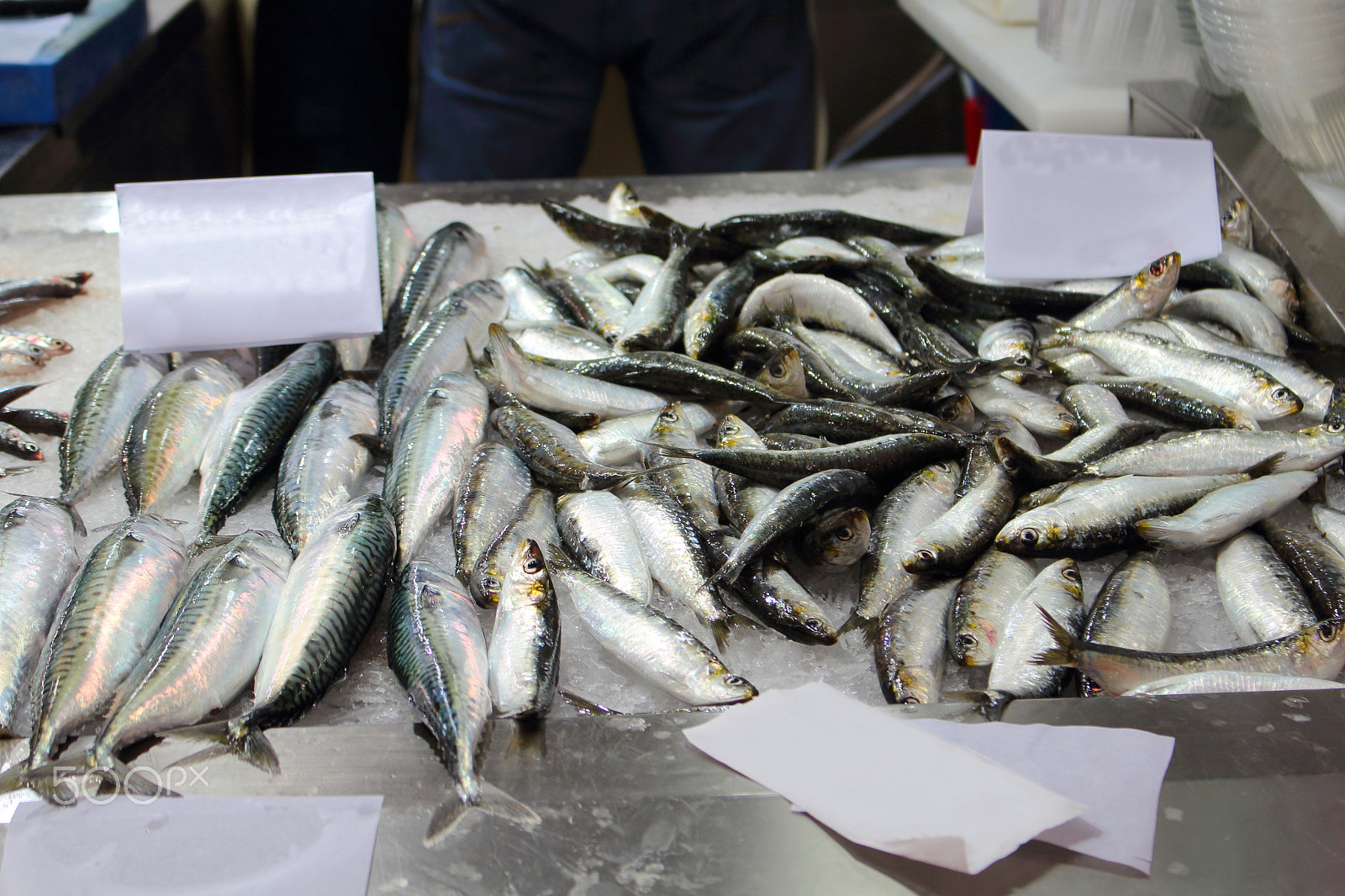 Canon EOS 1200D (EOS Rebel T5 / EOS Kiss X70 / EOS Hi) sample photo. Fish market in a european city photography