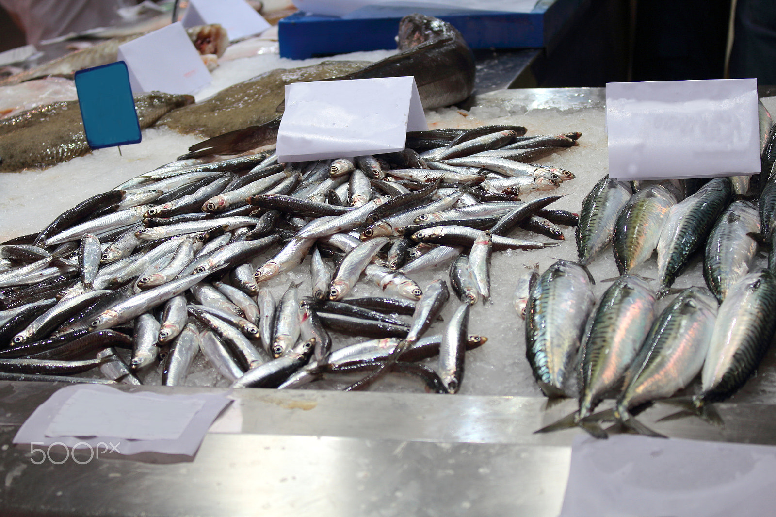 Canon EOS 1200D (EOS Rebel T5 / EOS Kiss X70 / EOS Hi) sample photo. Fish market in a european city photography