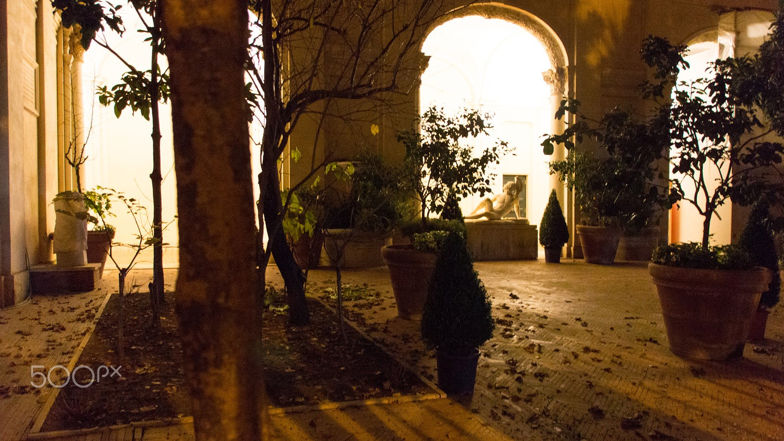 Sony SLT-A65 (SLT-A65V) sample photo. A roman garden at night photography