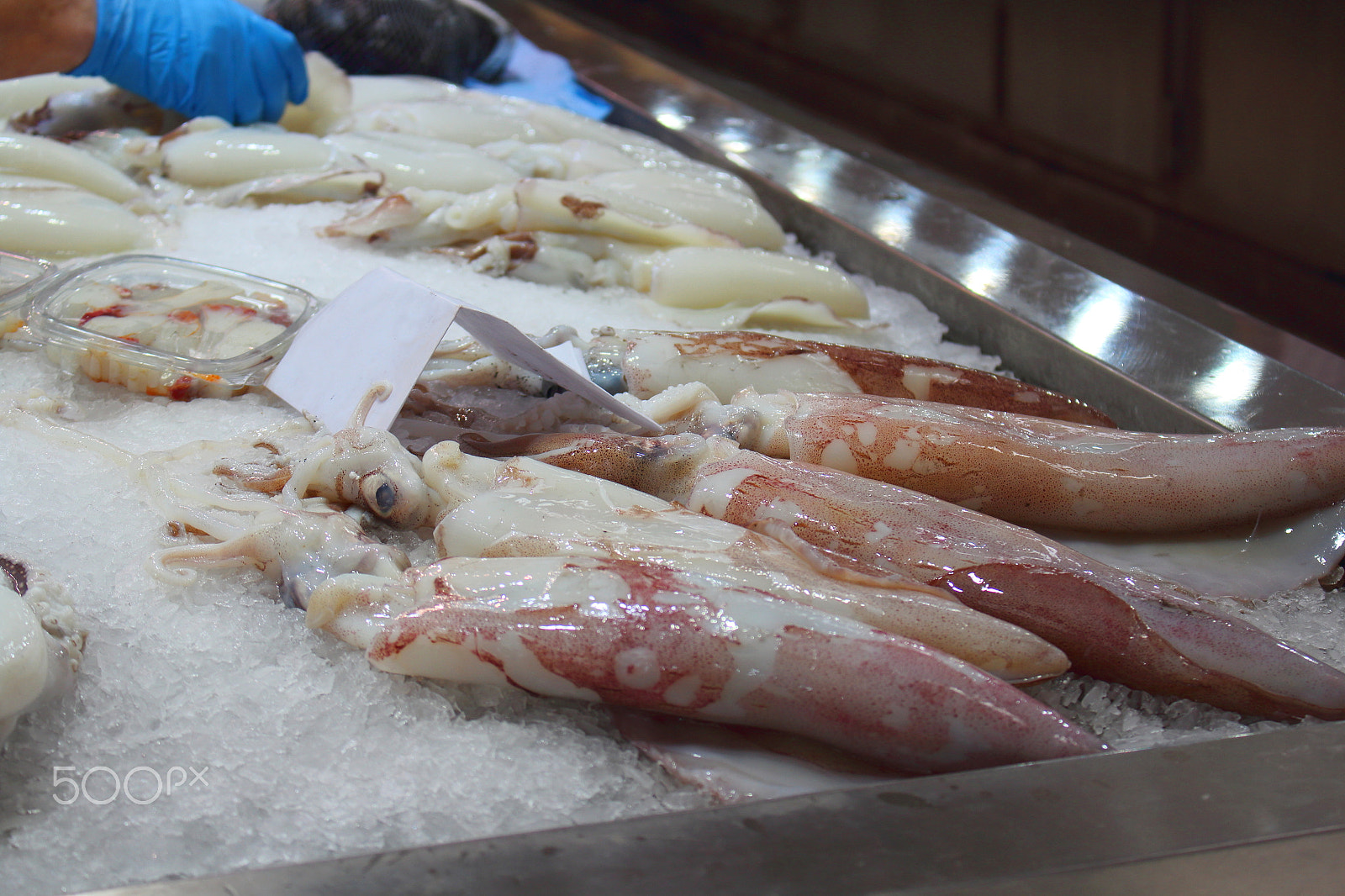 Canon EOS 1200D (EOS Rebel T5 / EOS Kiss X70 / EOS Hi) sample photo. Fish market in a european city photography