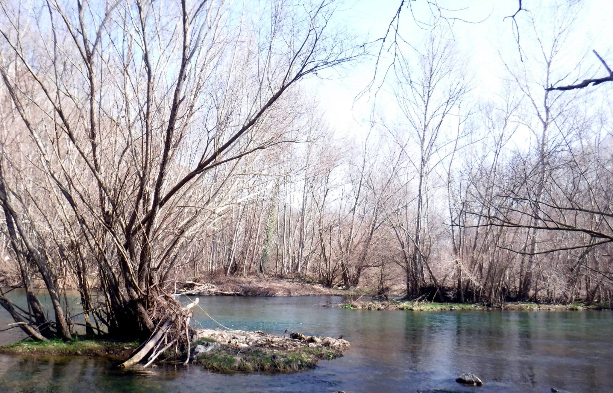 Fujifilm FinePix XP80 XP81 XP85 sample photo. Nature photography