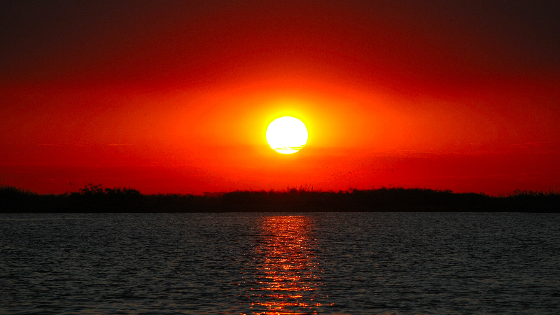 Nikon D70s + Sigma 50-500mm F4-6.3 EX APO RF HSM sample photo. Chobe burning sunset photography