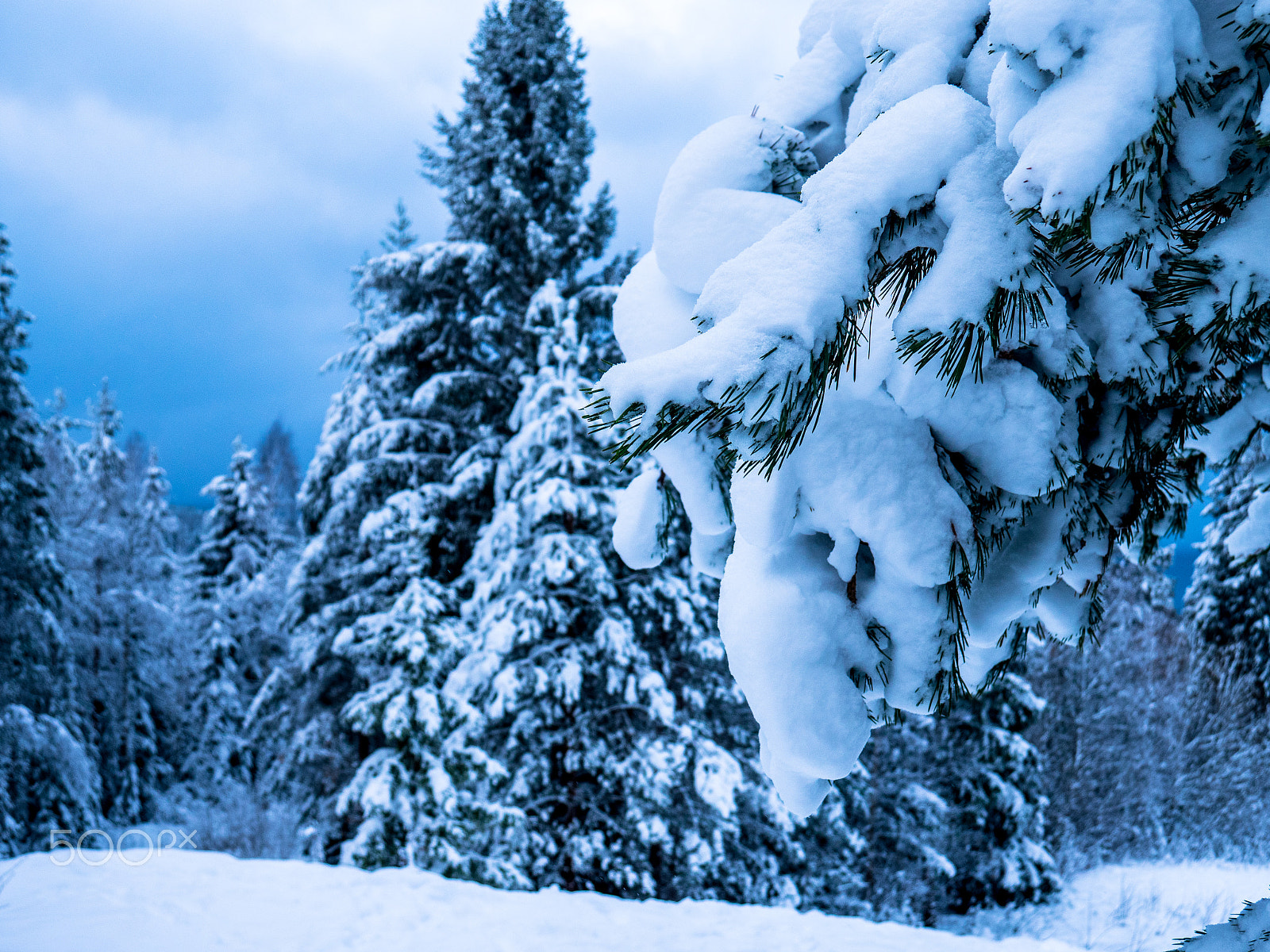 Panasonic Lumix DMC-GX8 sample photo. Winter in rattvik, sweden photography
