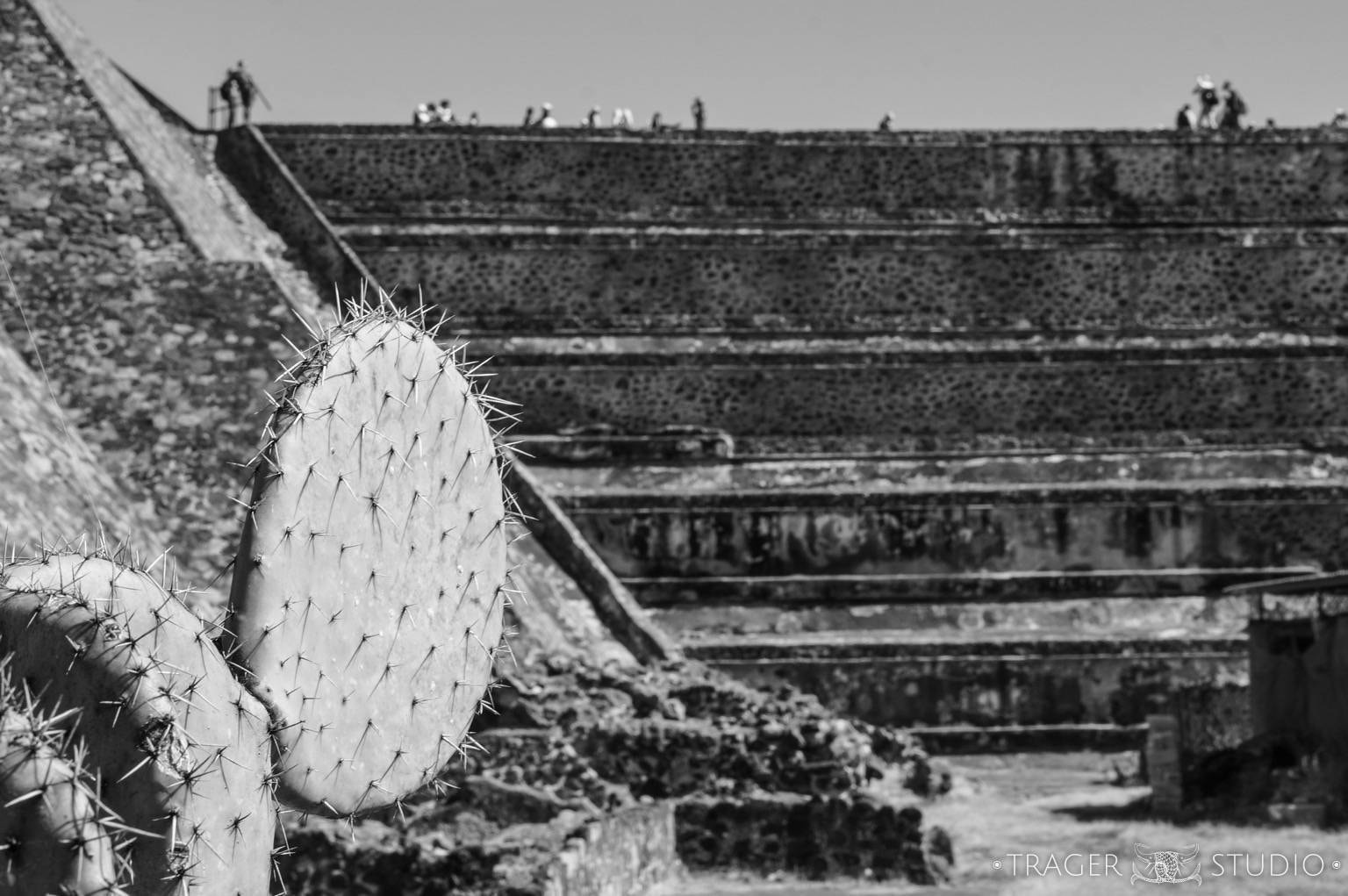 Sony Alpha NEX-5R + E 50mm F1.8 OSS sample photo. Nopal at teotihuacan photography