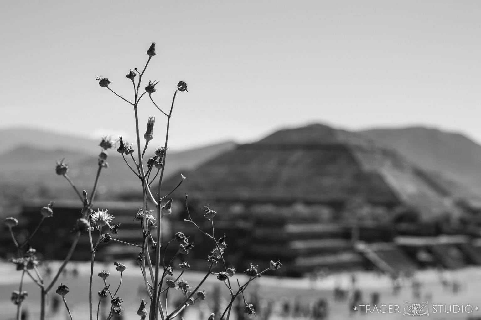 Sony Alpha NEX-5R + E 50mm F1.8 OSS sample photo. A different view at teotihuacan photography