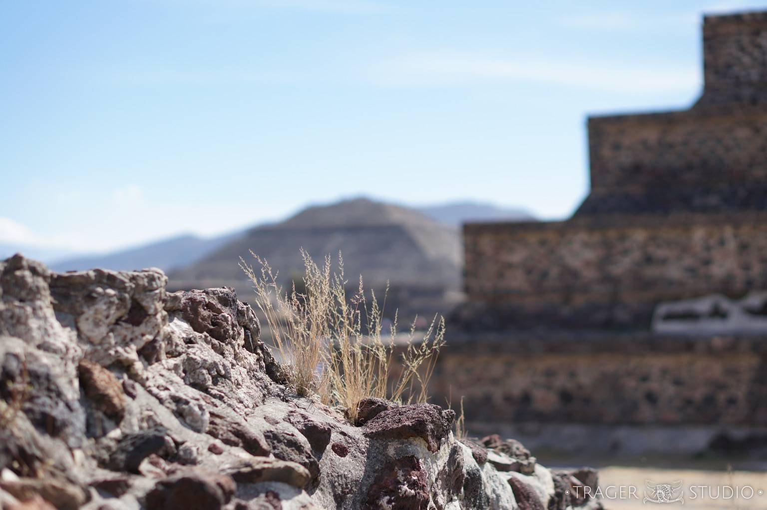 Sony Alpha NEX-5R + E 50mm F1.8 OSS sample photo. Grass and rocks at teotihuacan photography