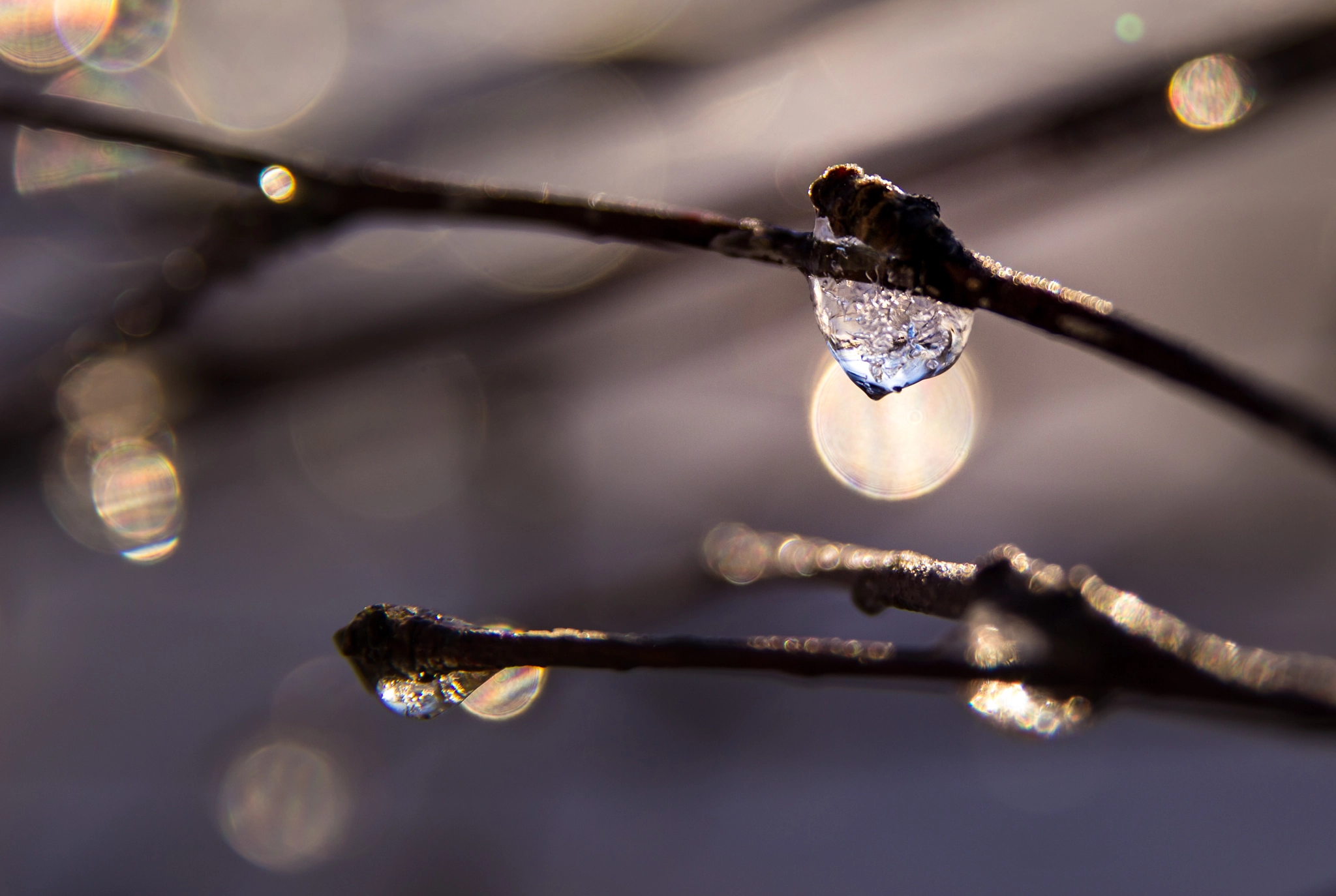 Canon EOS 600D (Rebel EOS T3i / EOS Kiss X5) + Sigma 17-70mm F2.8-4 DC Macro OS HSM sample photo. Frozen droplet photography