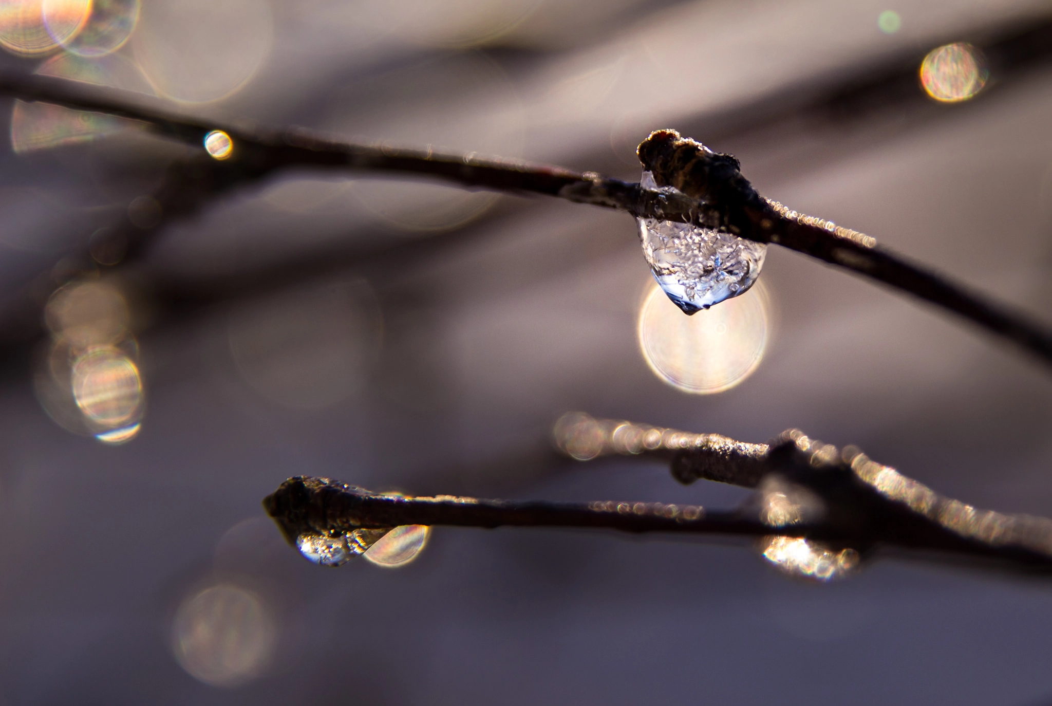 Sigma 17-70mm F2.8-4 DC Macro OS HSM sample photo. Frozen droplet photography