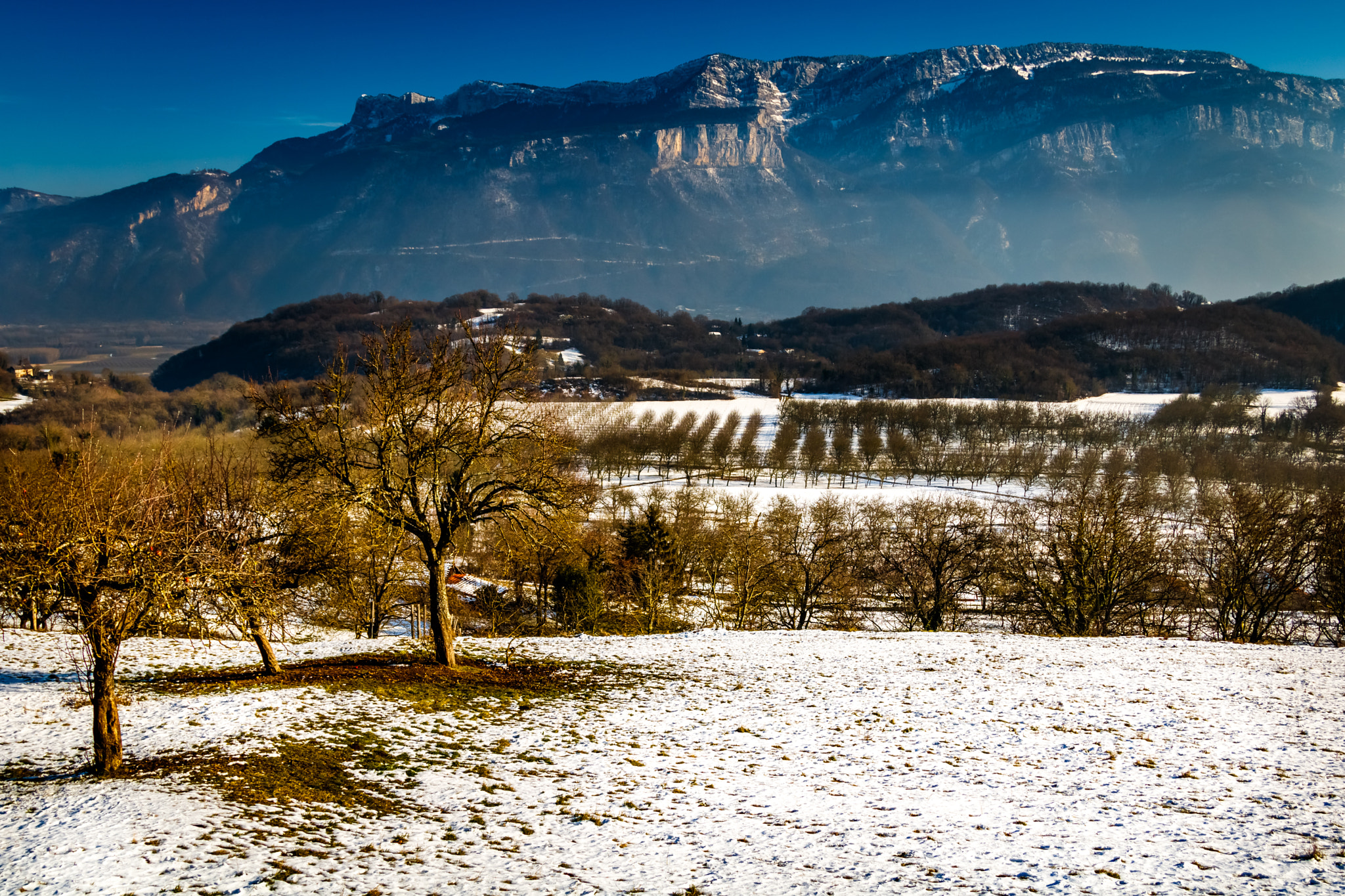 Canon EOS 760D (EOS Rebel T6s / EOS 8000D) sample photo. Cras - isère valley - france photography