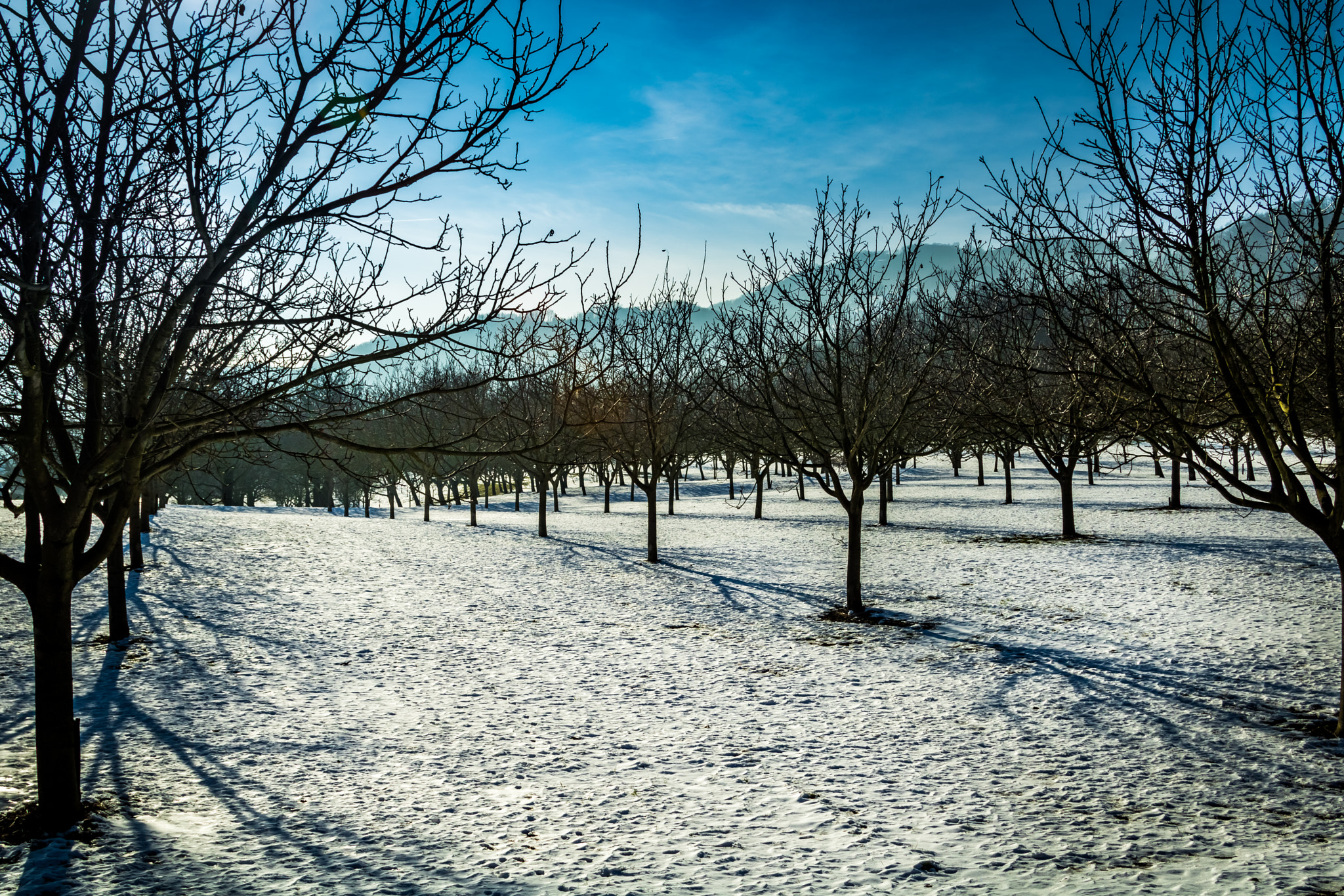 Canon EF 24-85mm F3.5-4.5 USM sample photo. Cras - france photography