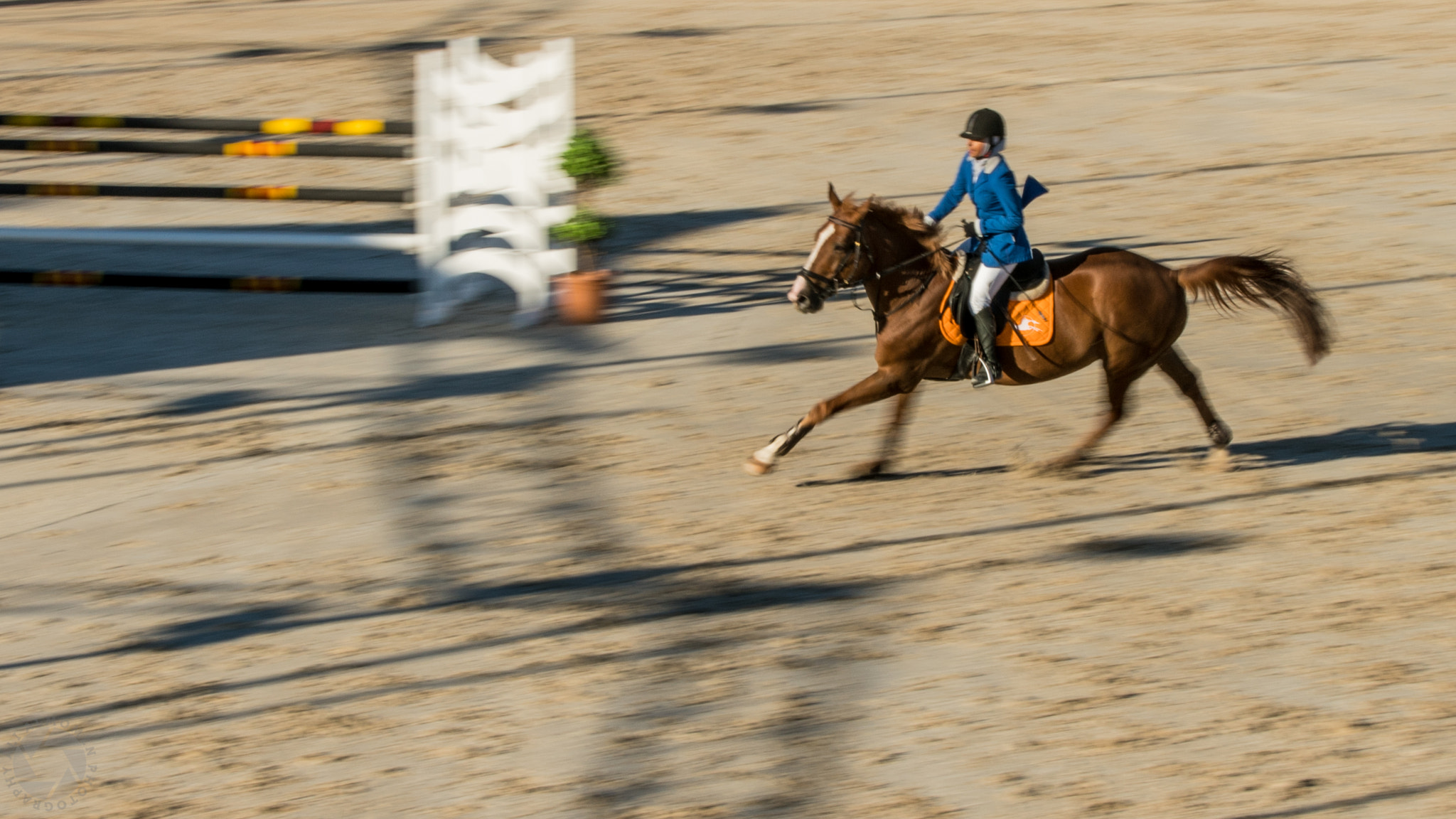 Canon EF 70-200mm F2.8L IS II USM sample photo. Horse riding, cross country equestrian jumping photography