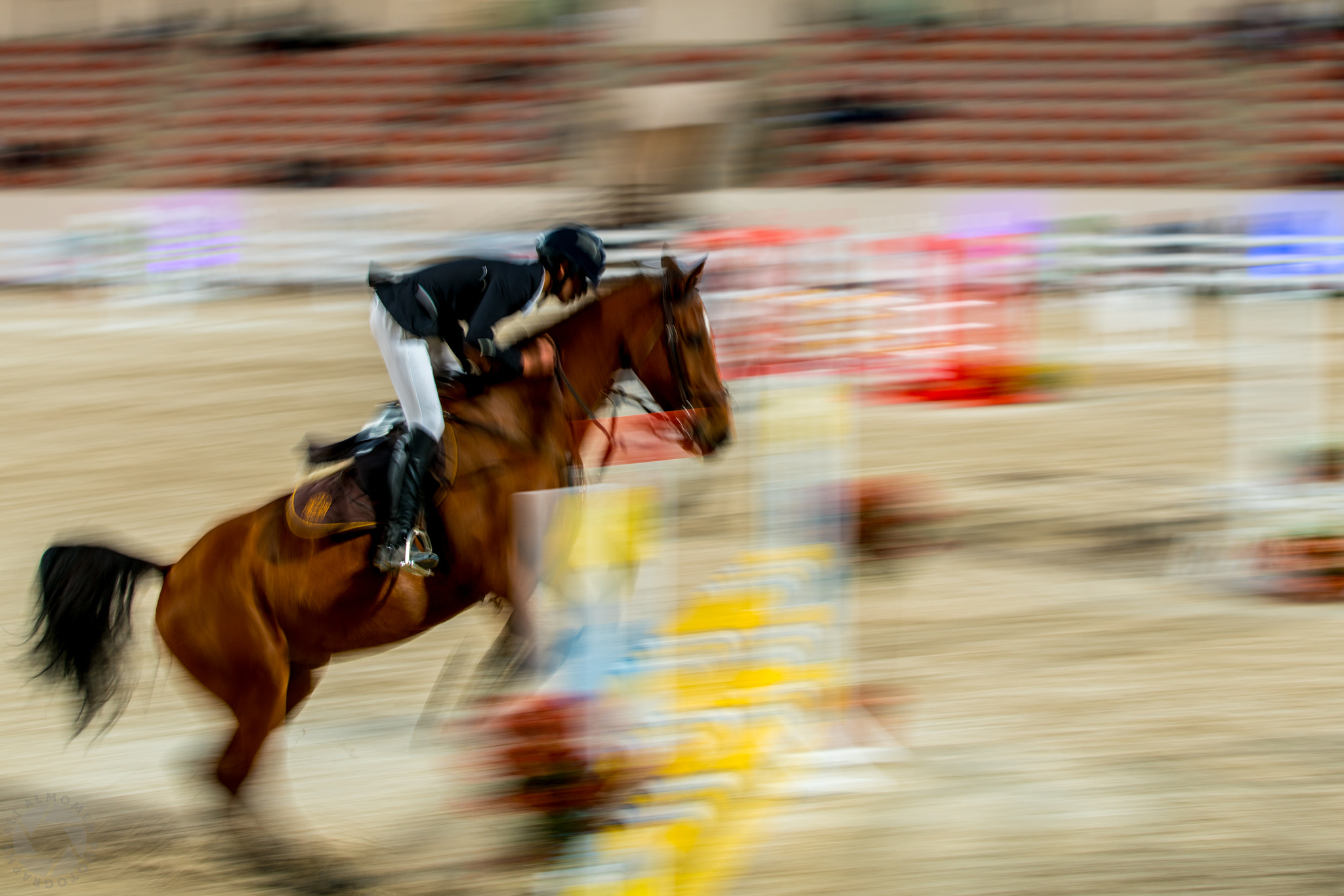 Canon EF 70-200mm F2.8L IS II USM sample photo. Horse riding, cross country equestrian jumping photography