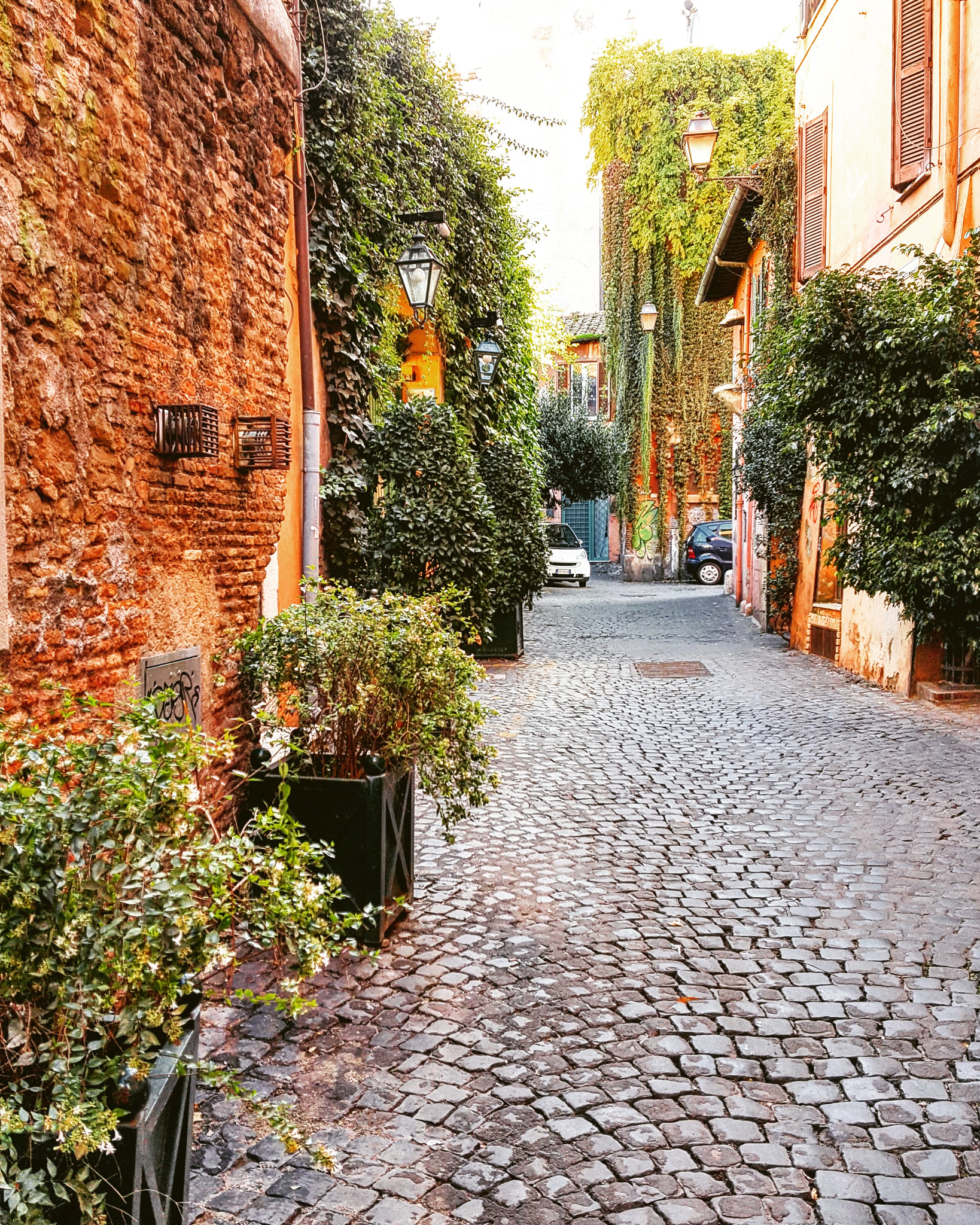 Roma