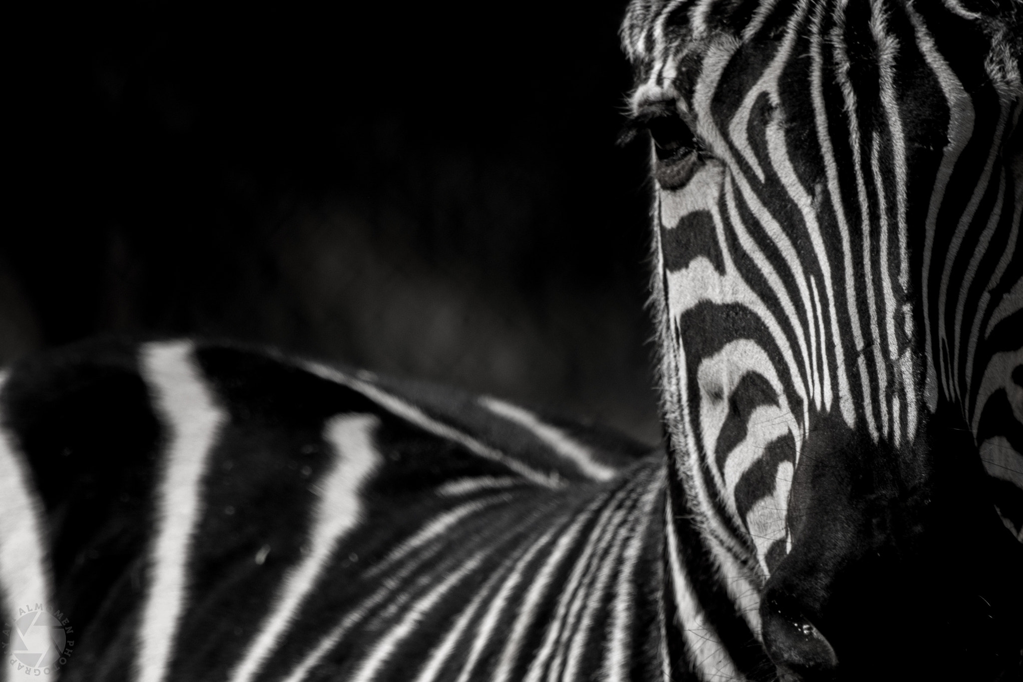 Canon EF 100-400mm F4.5-5.6L IS USM sample photo. Lovley animals in kuwait zoo photography