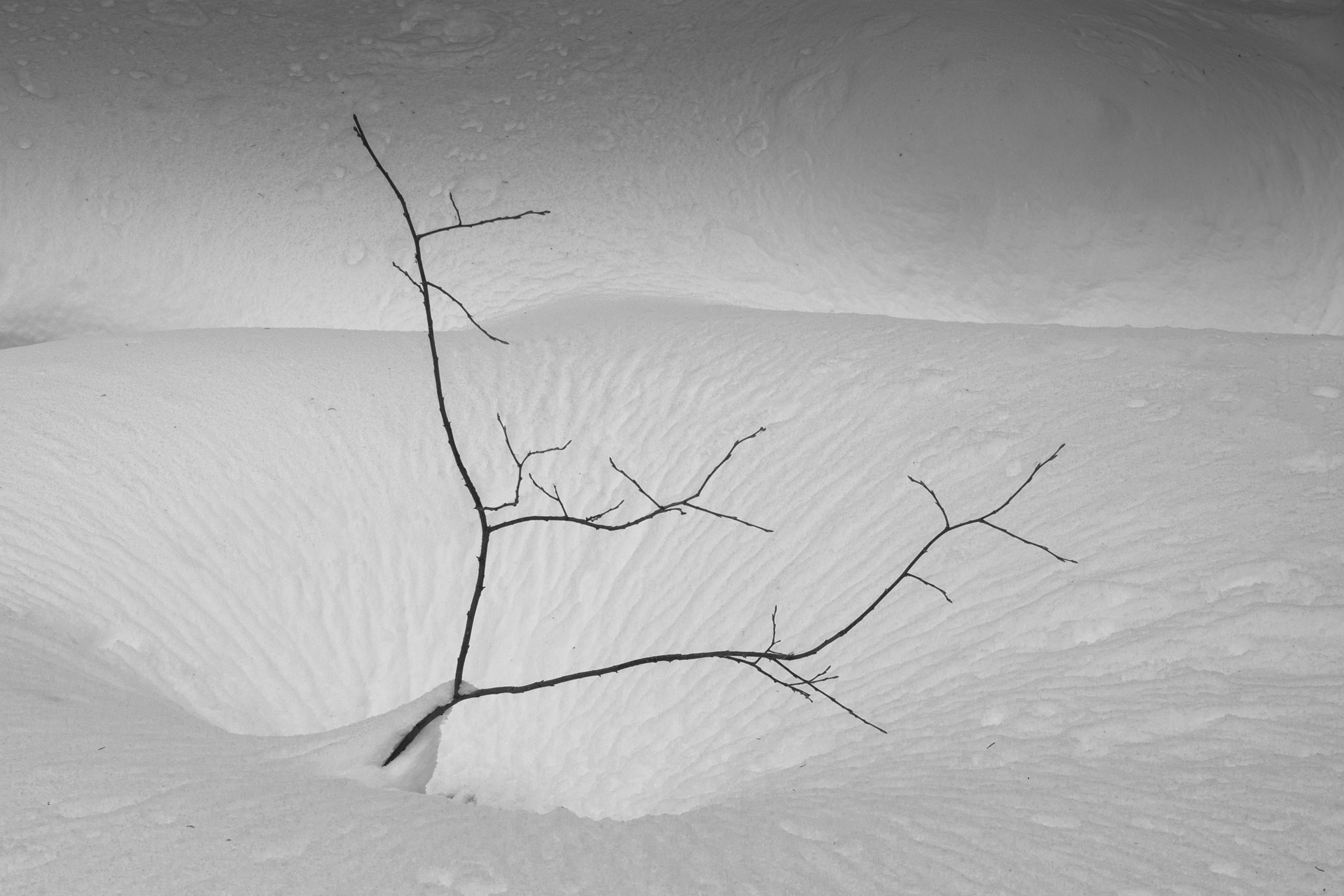 Canon EF 24-70mm F4L IS USM sample photo. Winter time photography