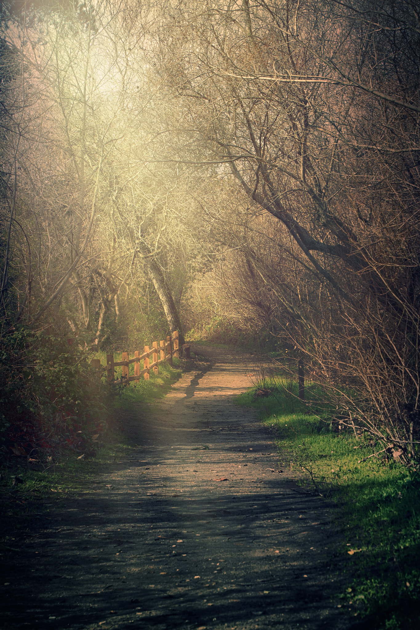 Canon EOS 650D (EOS Rebel T4i / EOS Kiss X6i) sample photo. Garland ranch trail photography