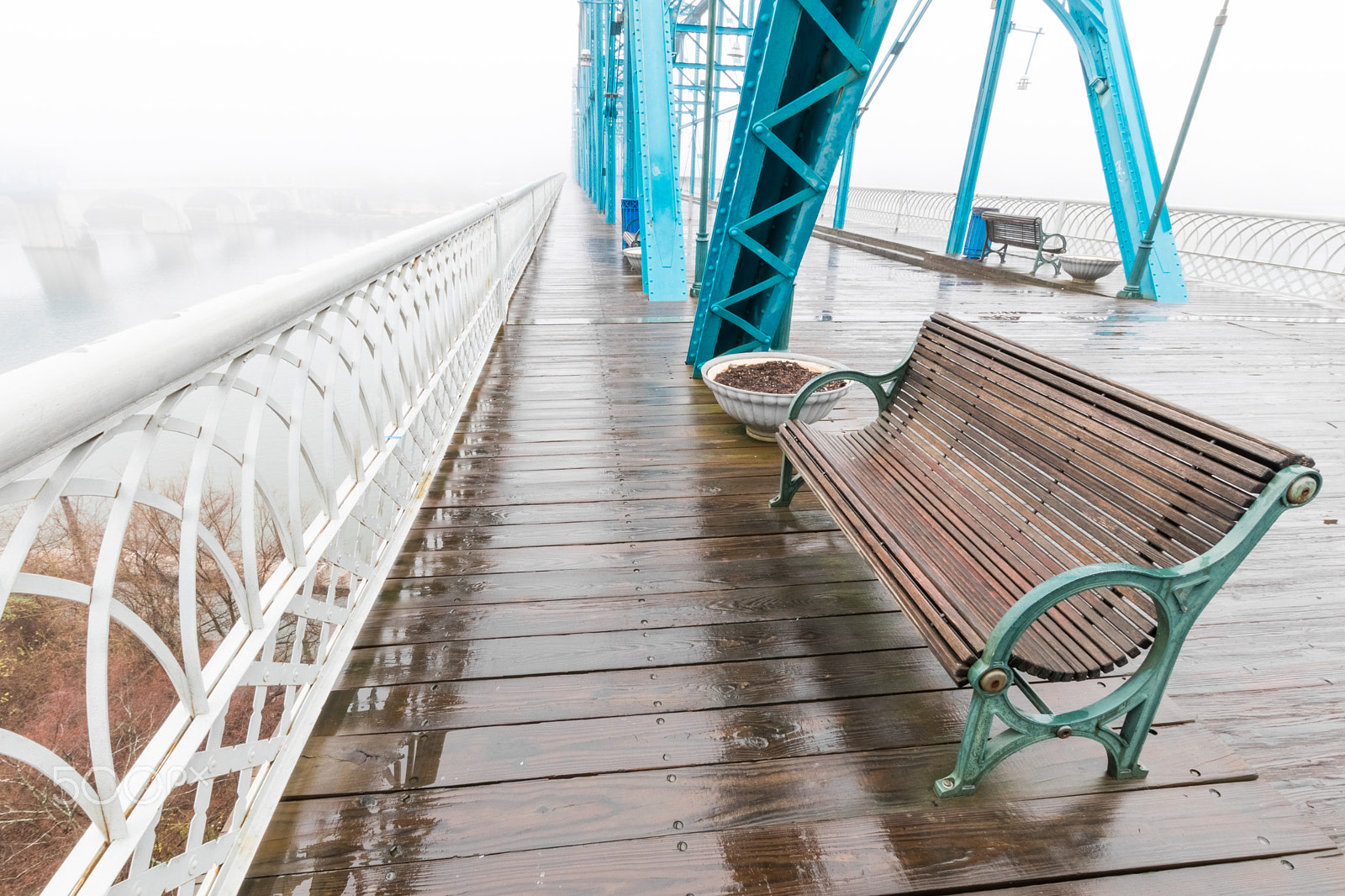 Sigma 10-20mm F3.5 EX DC HSM sample photo. Walnut street bridge photography