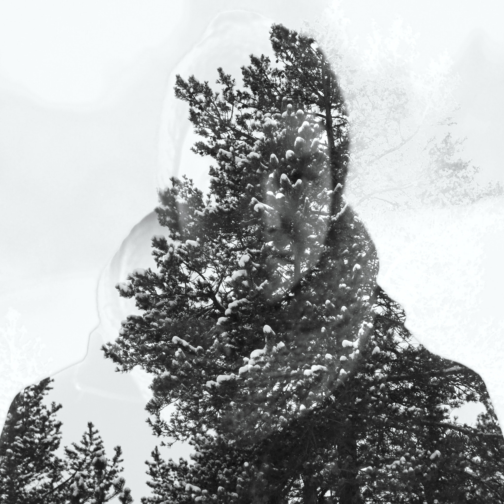 50mm F1.8 G SSM sample photo. Merged with nature i photography