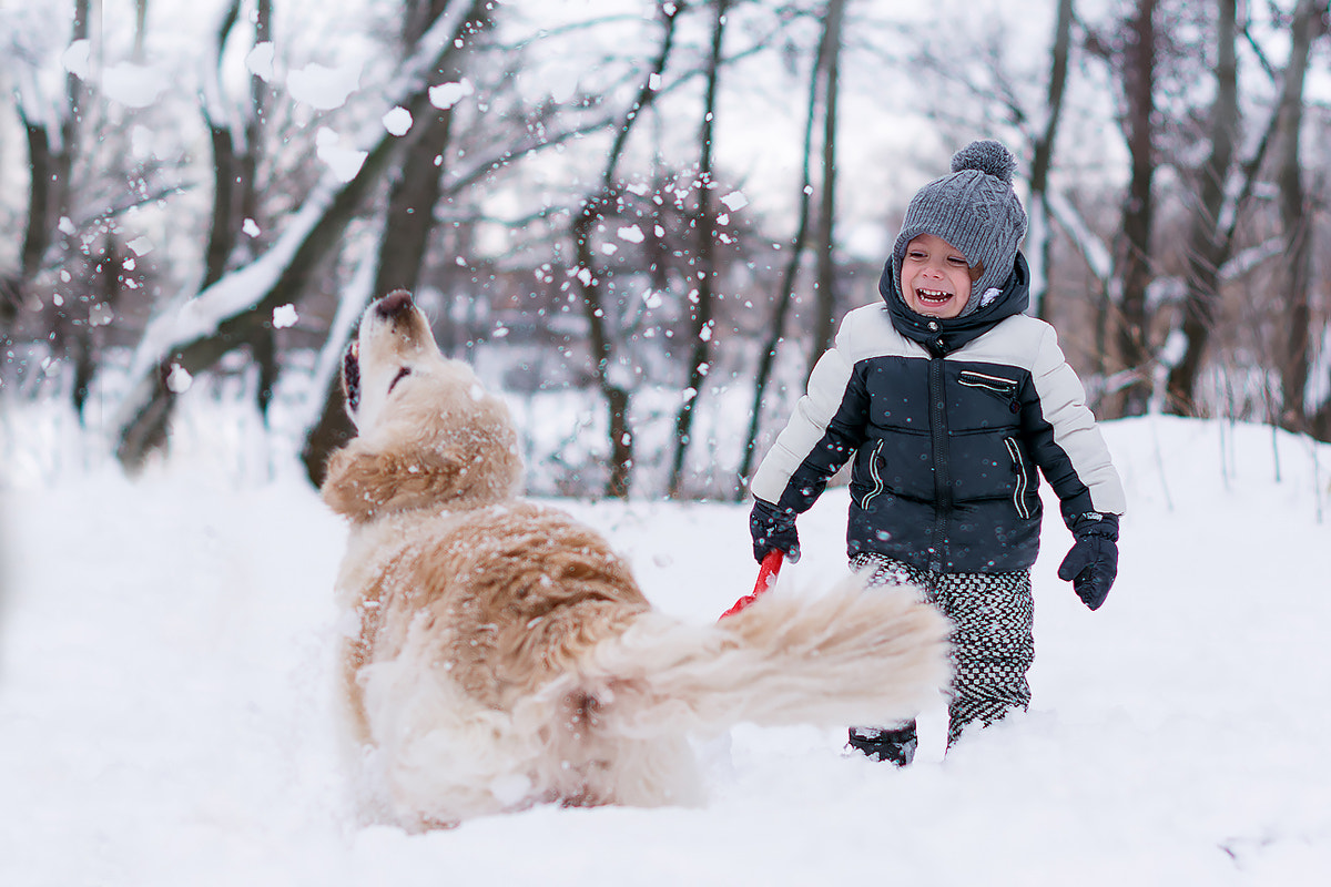 Nikon D5200 + Nikon AF-S Nikkor 50mm F1.4G sample photo. Игра в снежки photography