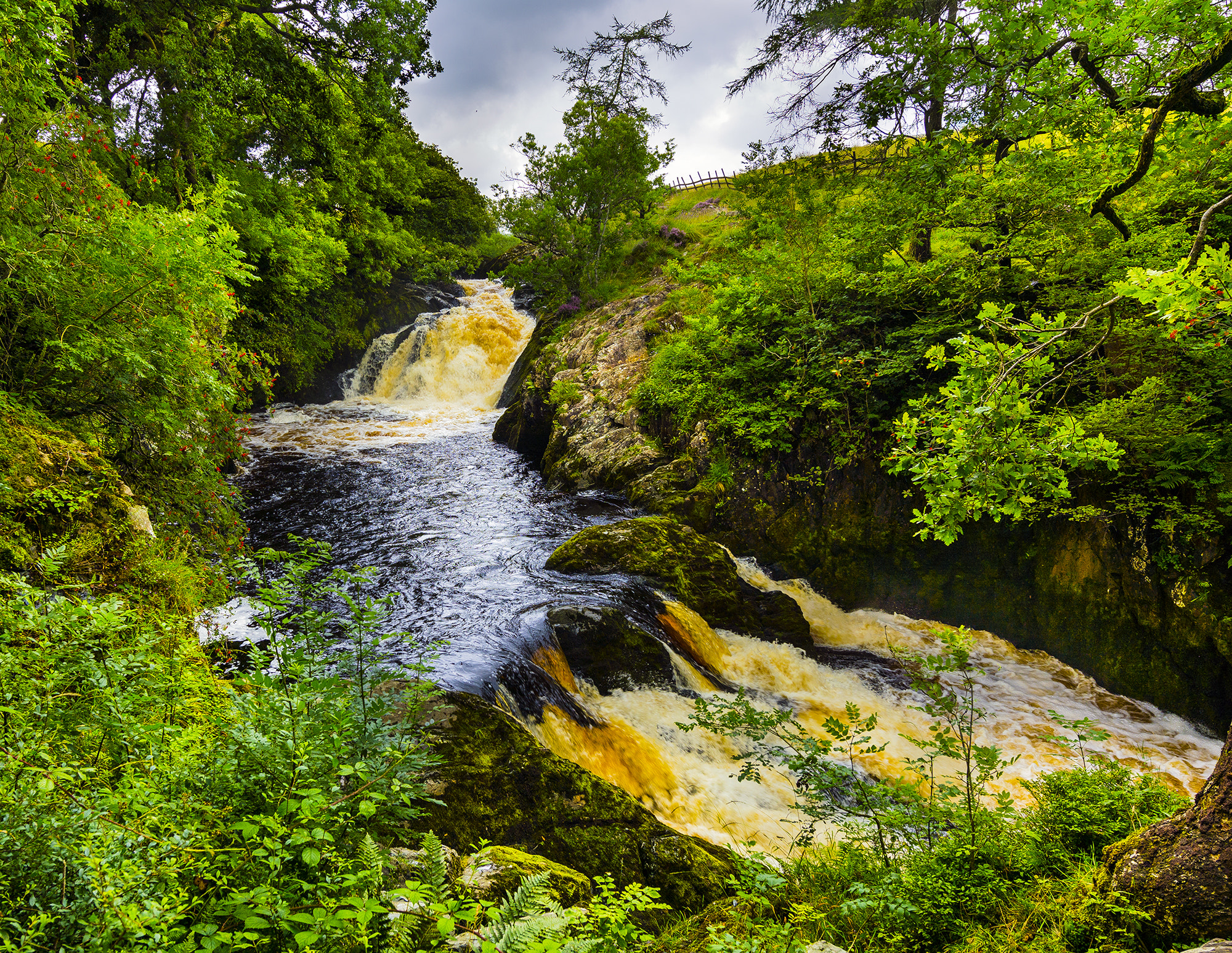 Nikon AF-S Nikkor 14-24mm F2.8G ED sample photo. River doe photography