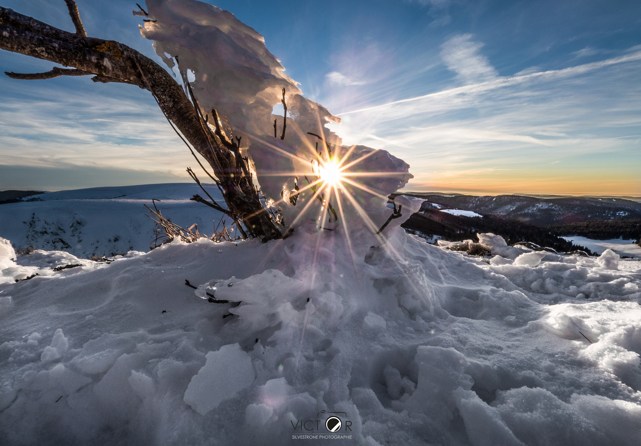 Olympus M.Zuiko Digital ED 7-14mm F2.8 PRO sample photo. Un endroit, une branche photography
