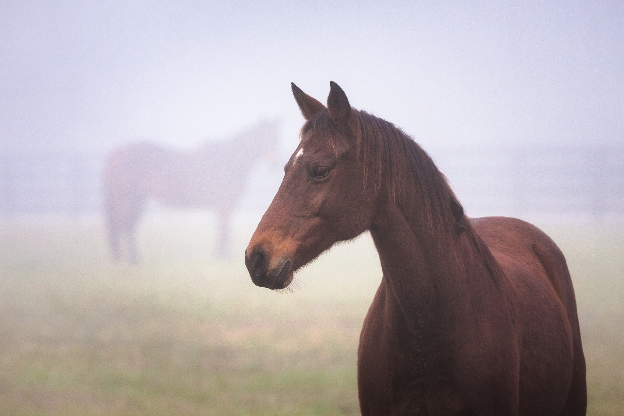 Canon EOS 40D + Canon EF 300mm F4L IS USM sample photo. Lots to consider photography