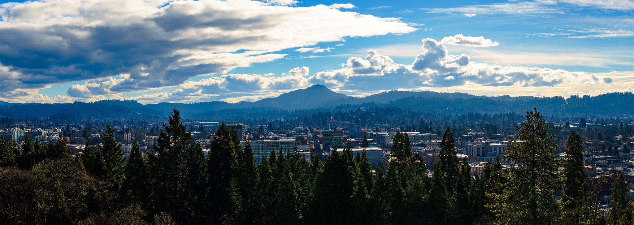 Sony a7R + Sony FE 70-200mm F4 G OSS sample photo. Eugene, or photography