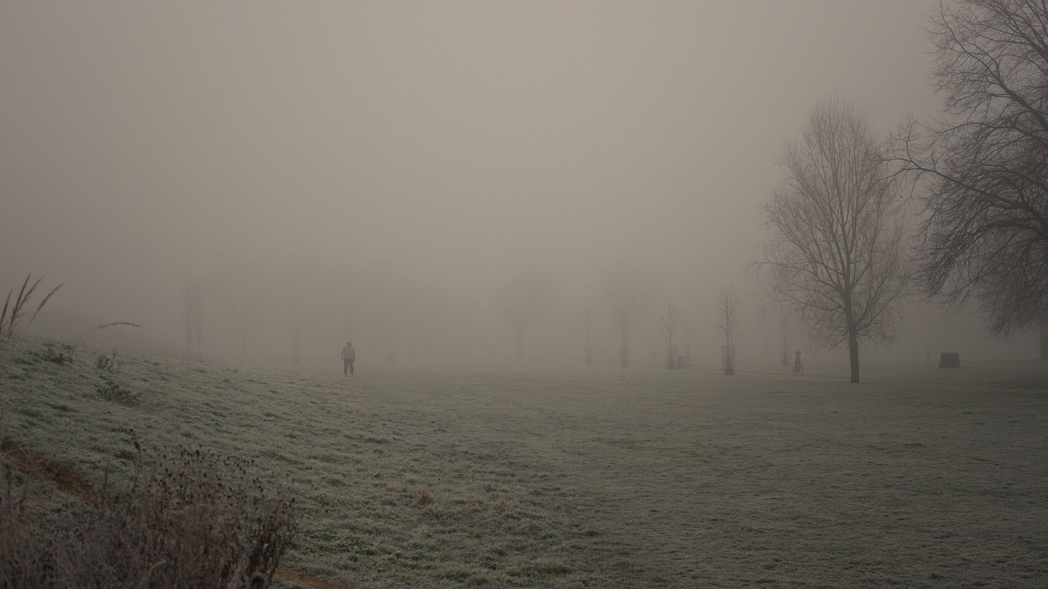 Sony Alpha NEX-6 + Sigma 30mm F2.8 EX DN sample photo. Sometimes i like winter photography