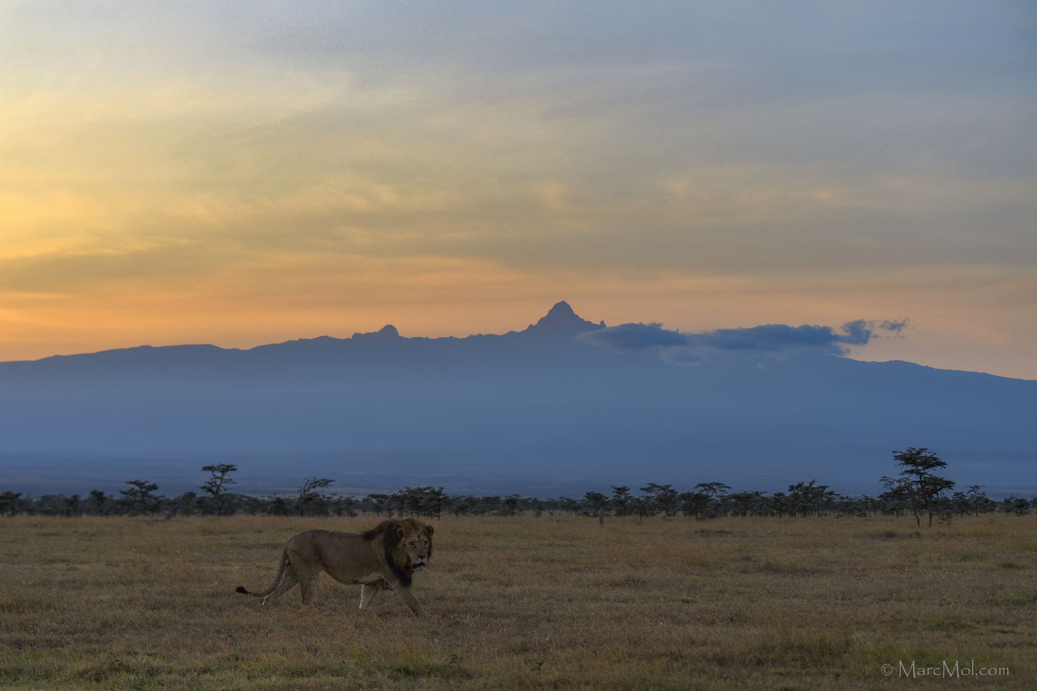 Nikon D5 sample photo. Mt kenya dawn patrol. photography