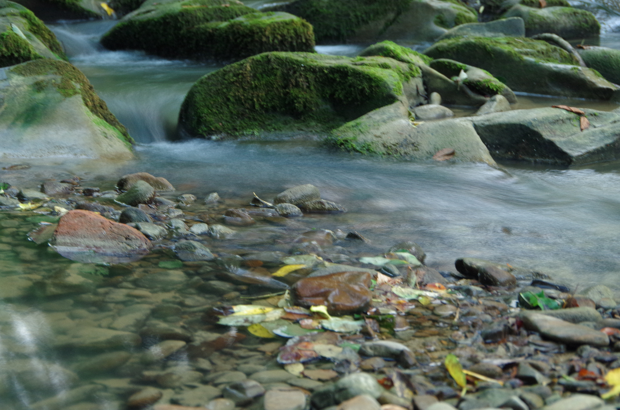 Pentax K-30 sample photo. Bieszczady, poland photography