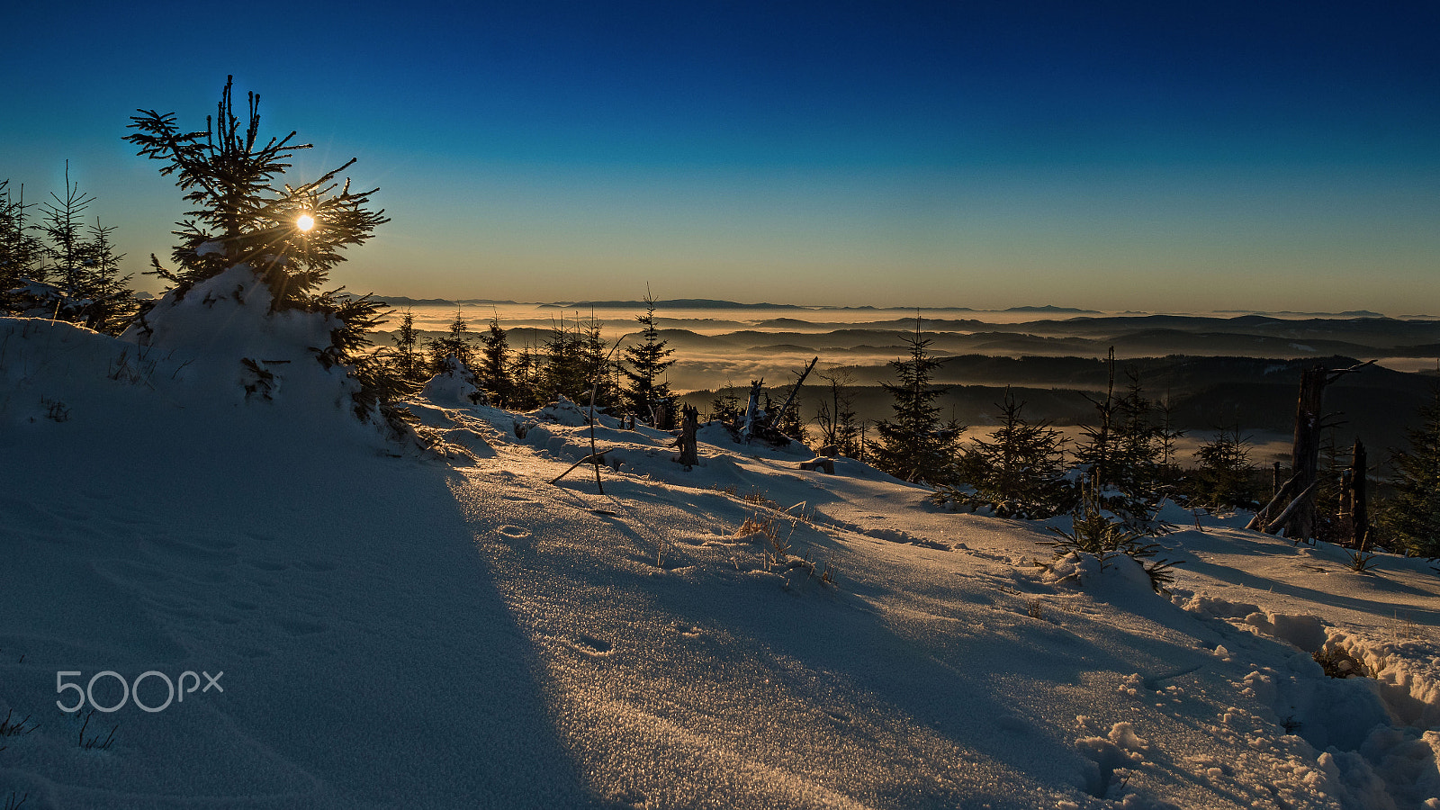 Nikon D5500 sample photo. Winter photography