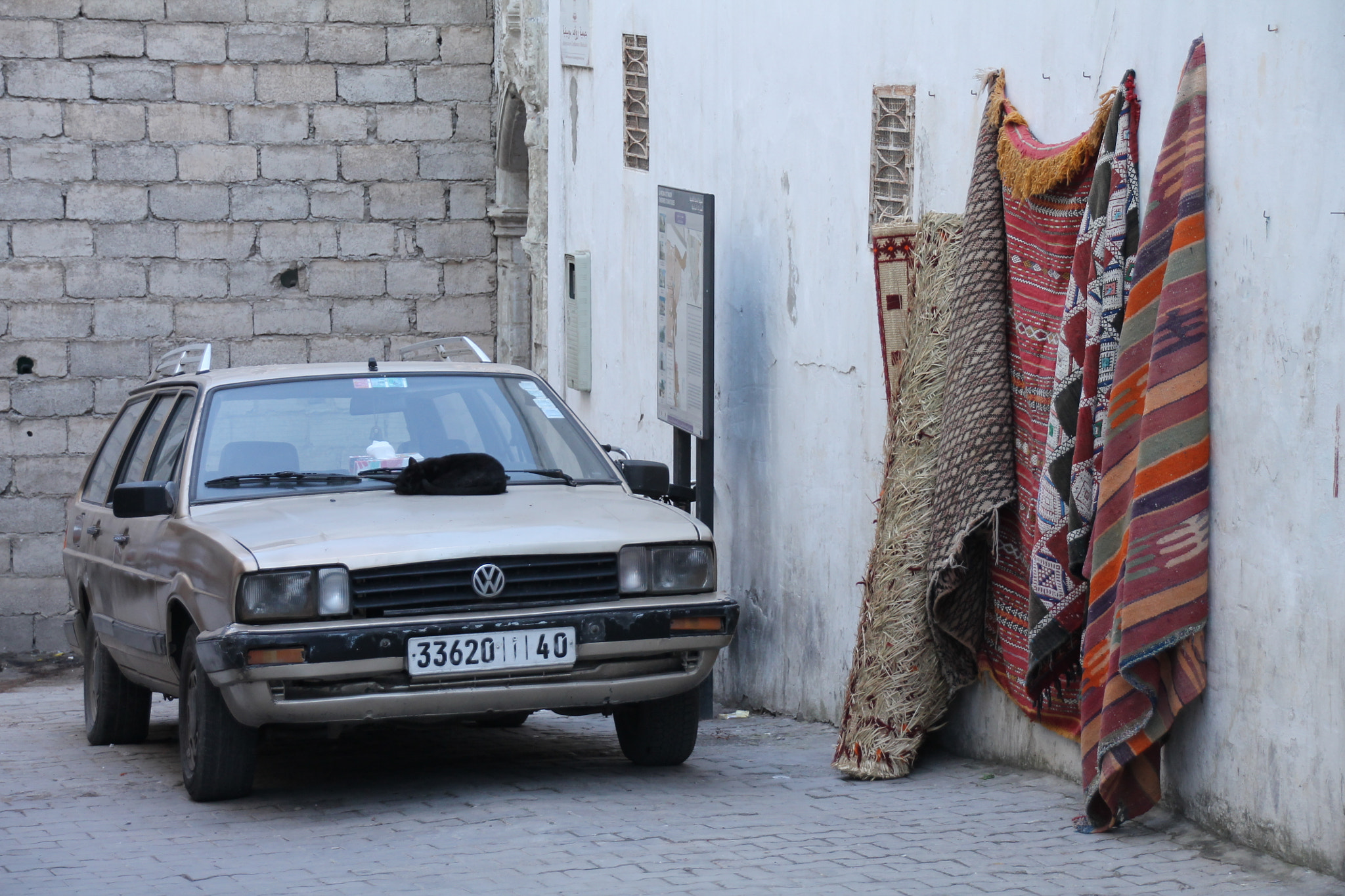 Sigma 18-250mm F3.5-6.3 DC OS HSM sample photo. Car, cat and carpet photography