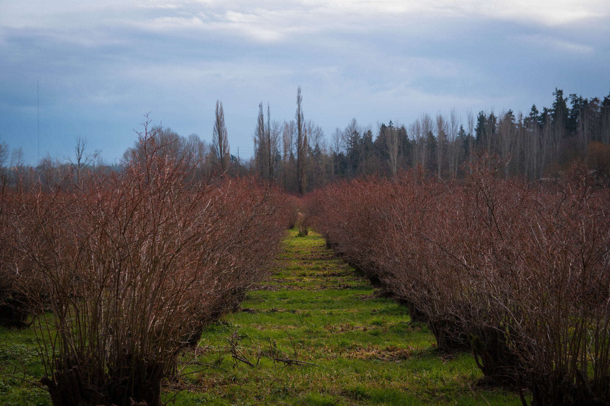 Sigma 17-50mm F2.8 EX DC OS HSM sample photo. Dsc photography