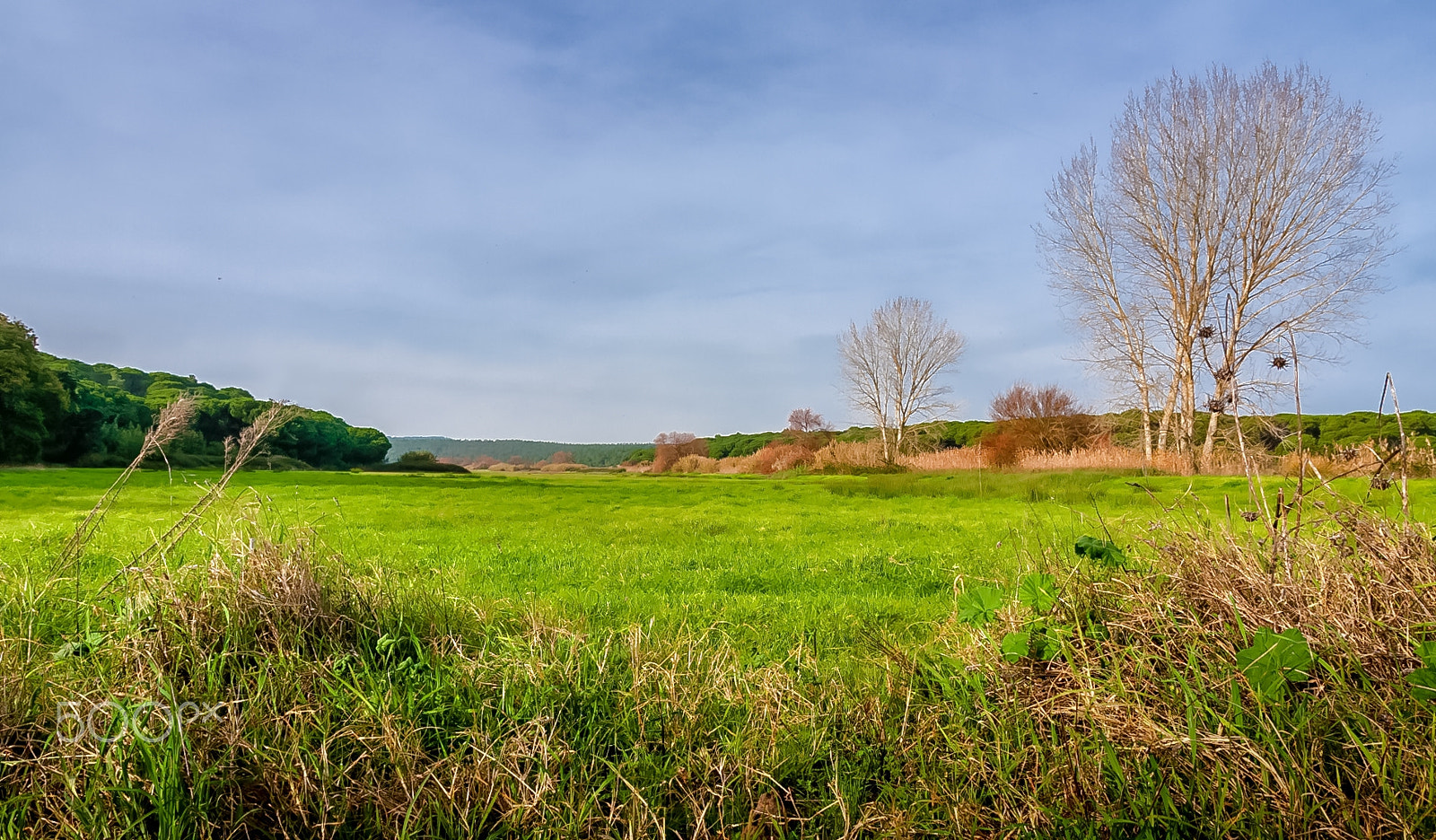 Tamron SP AF 17-50mm F2.8 XR Di II LD Aspherical (IF) sample photo. Aiana farm photography