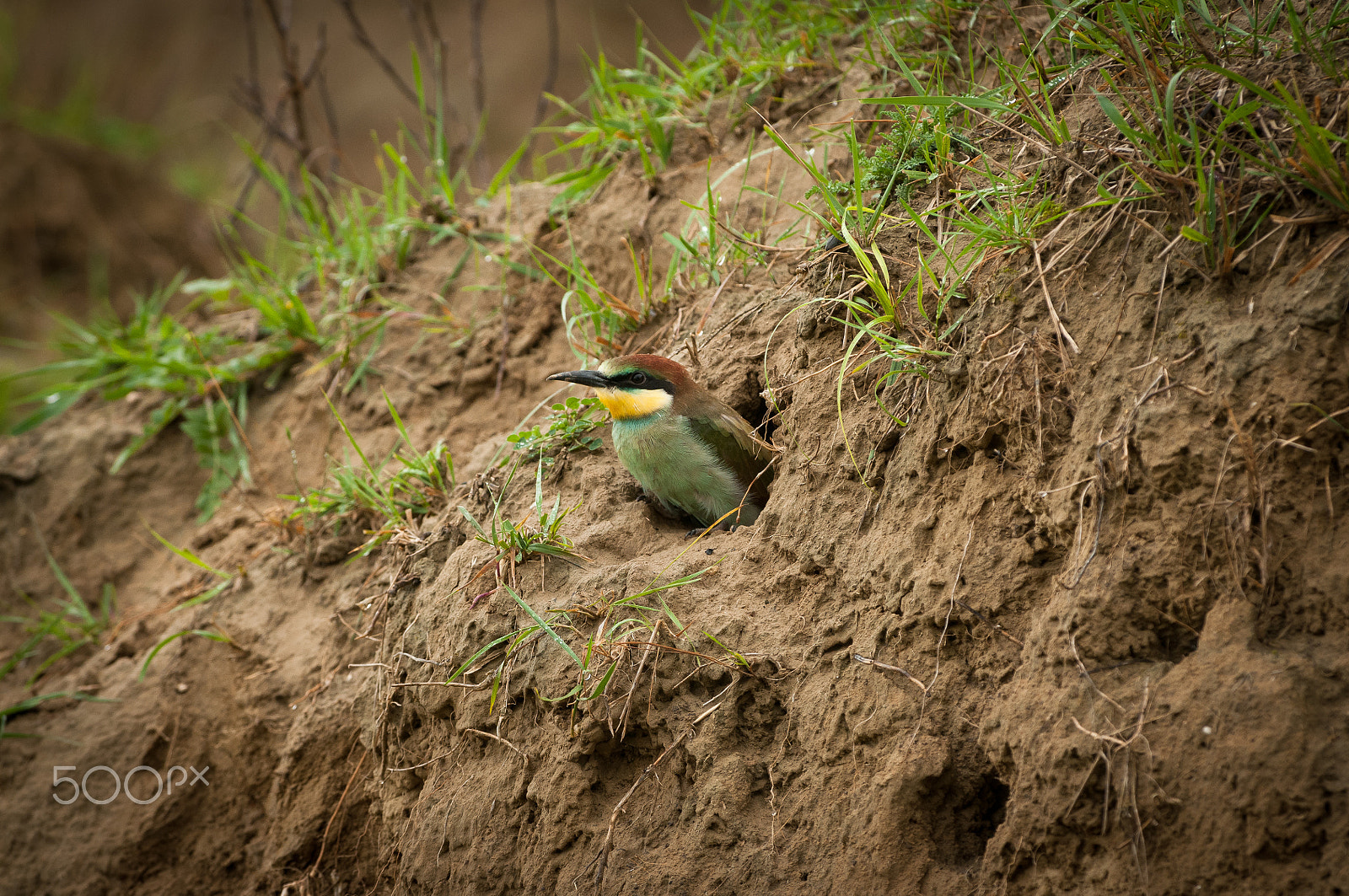 Nikon D300 sample photo. Just before first flight photography
