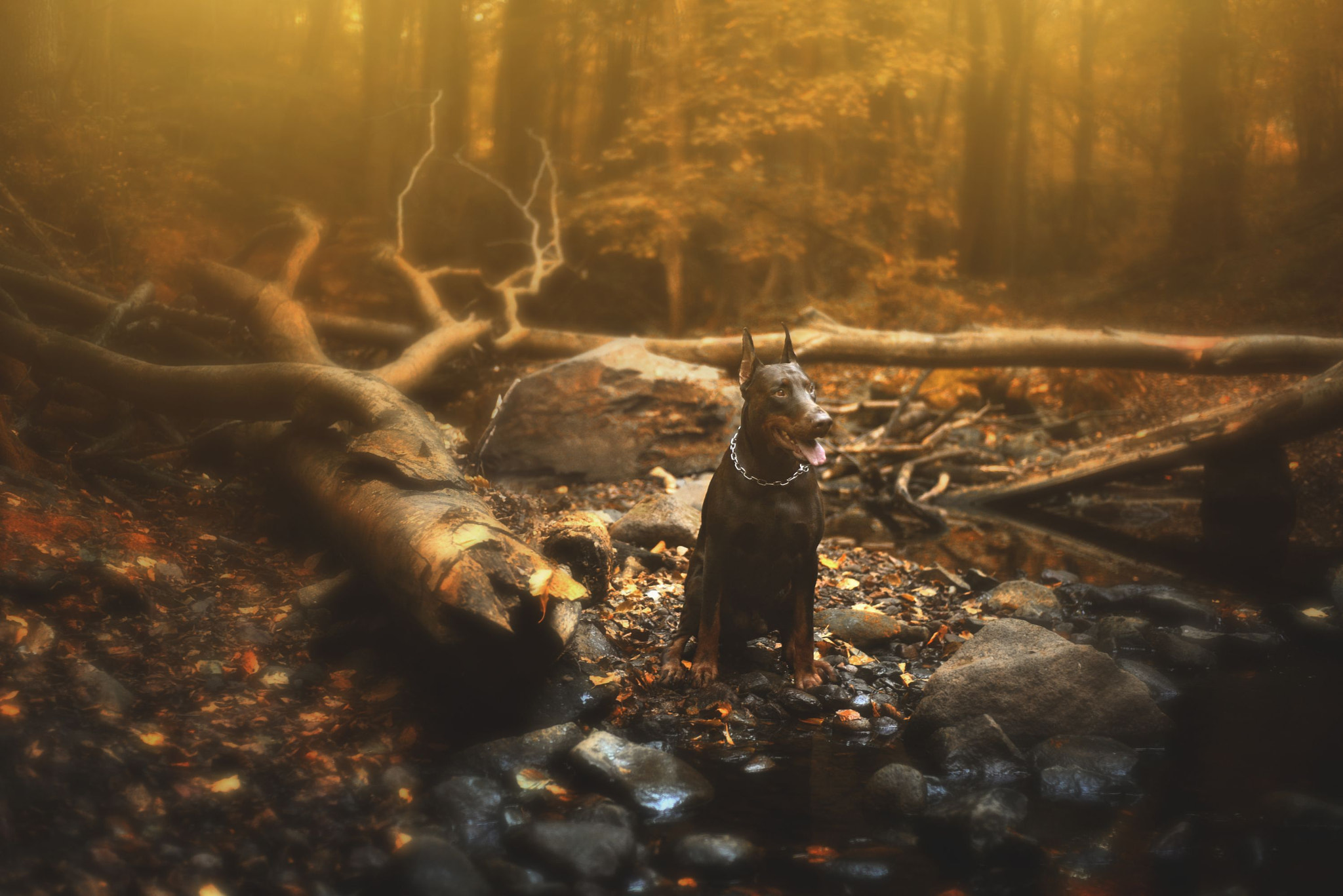 v2?sig=61c7b34e930c26c7e61af34cfc5f8854c