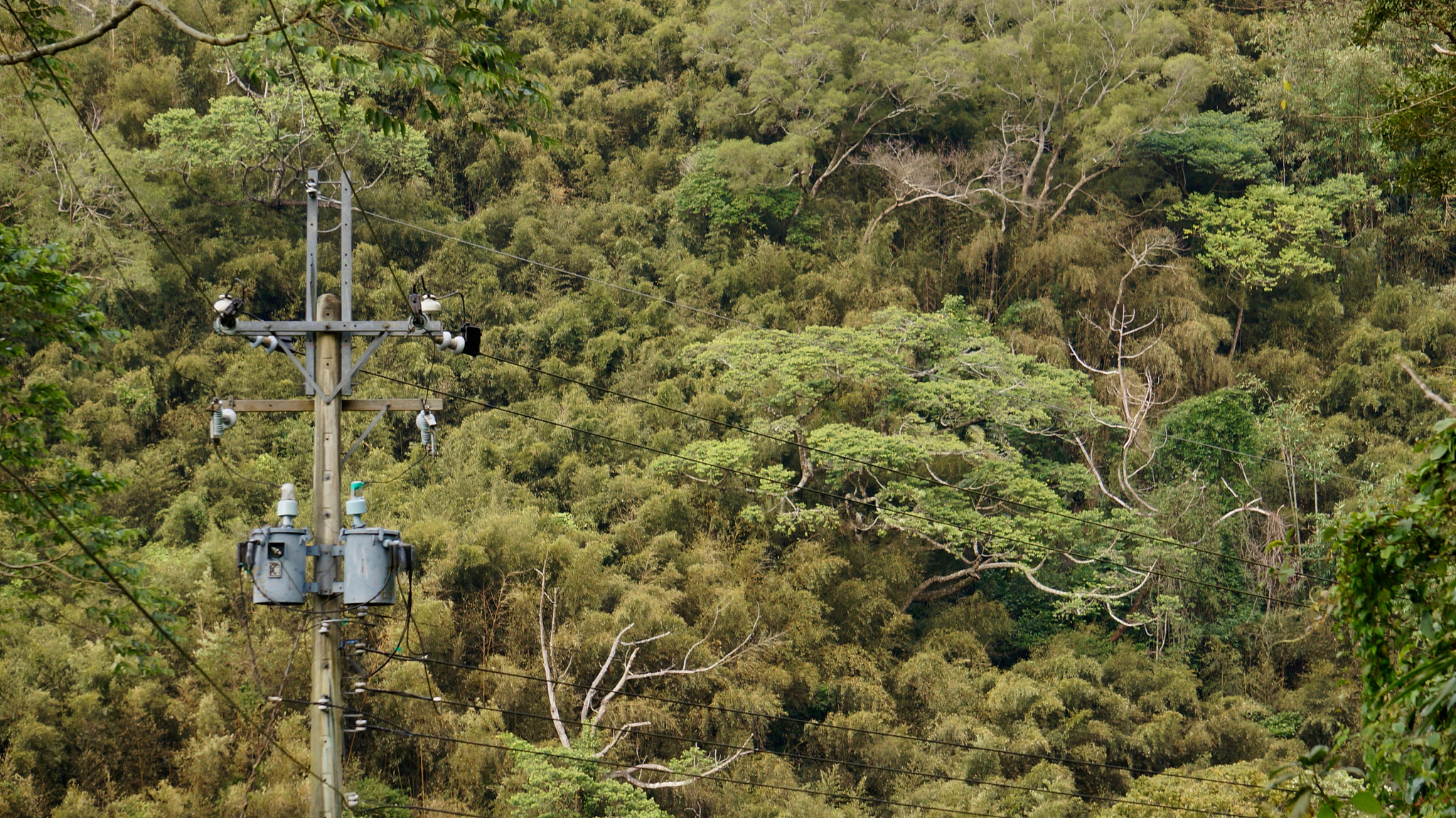 Sony E 55-210mm F4.5-6.3 OSS sample photo. Power lines photography