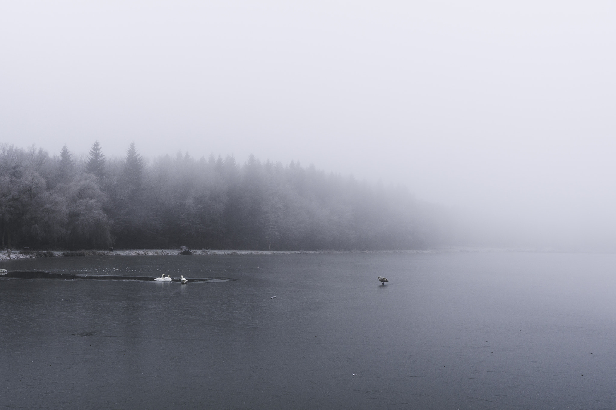 Sony Alpha NEX-5R + Sony E 18-55mm F3.5-5.6 OSS sample photo. Frozen lake photography