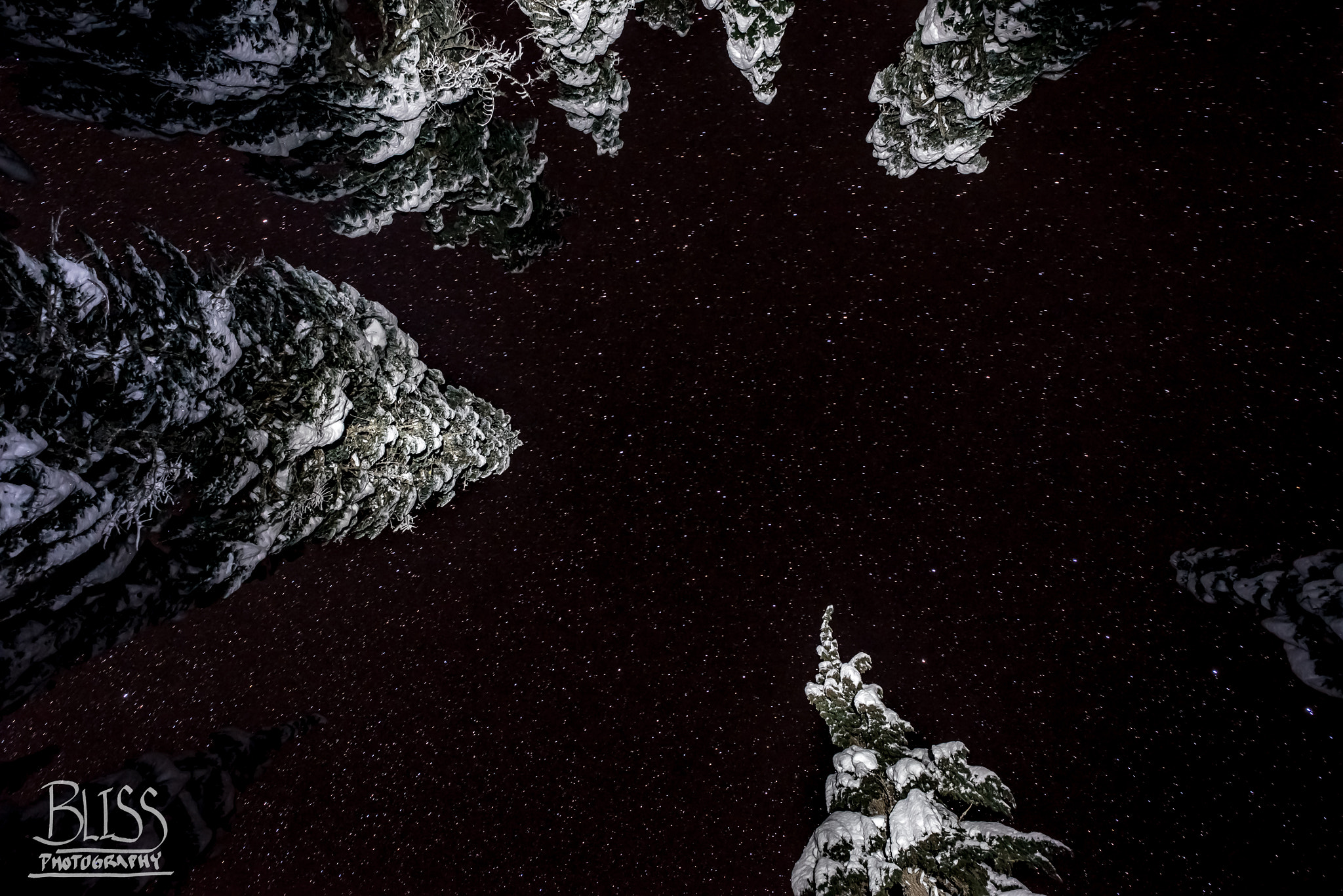 Nikon AF-S Nikkor 24mm F1.8G ED sample photo. View when making snow angles photography