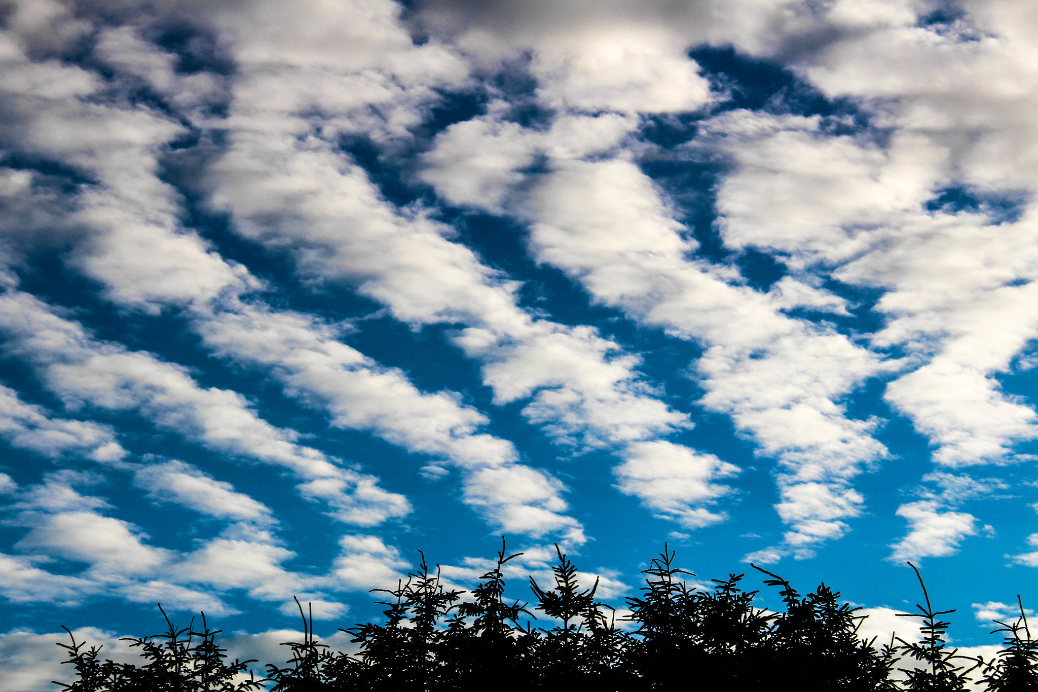 Canon EF-S 18-200mm F3.5-5.6 IS sample photo. Rippled clouds photography