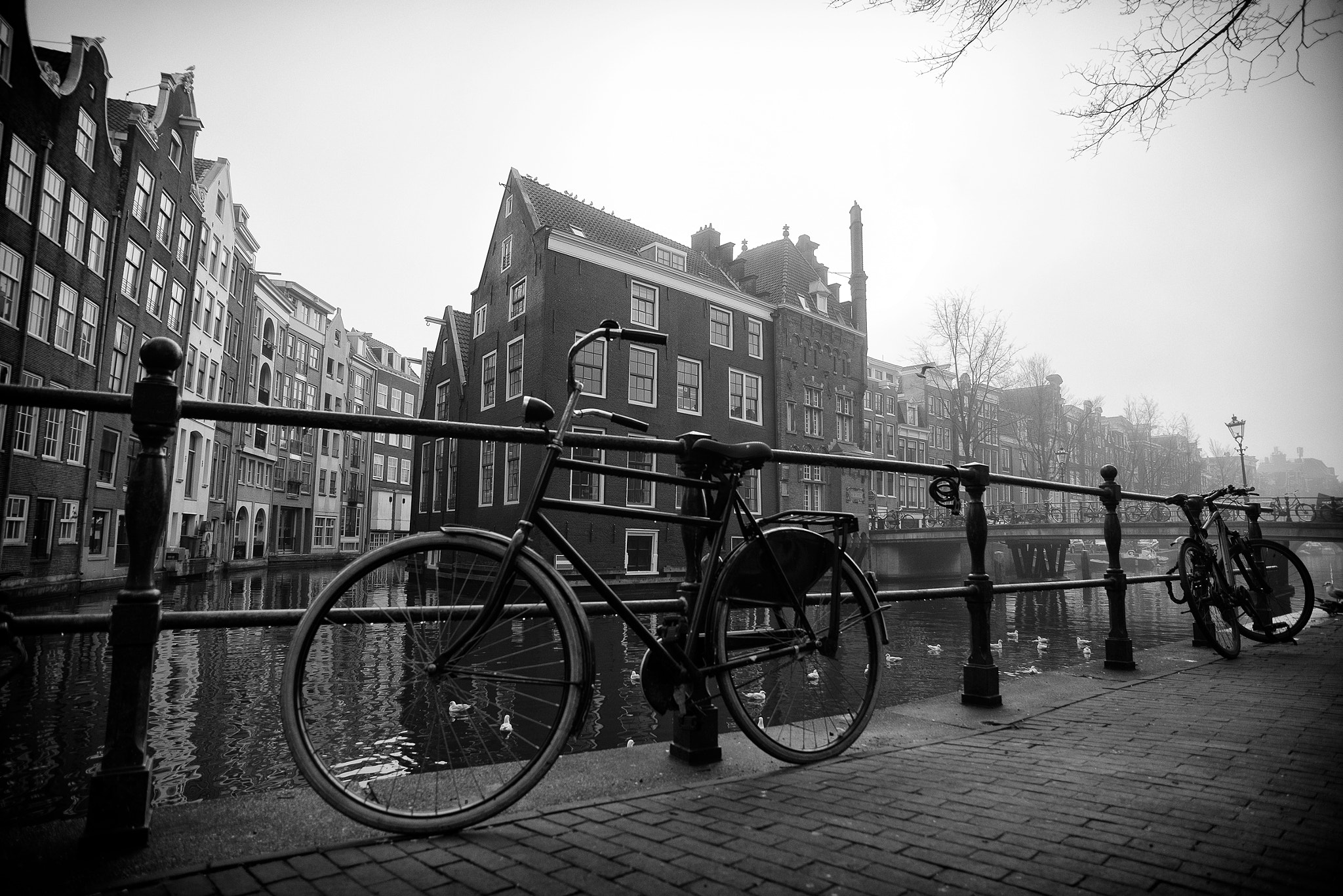 0,0 mm f/0,0 sample photo. Amsterdam photography
