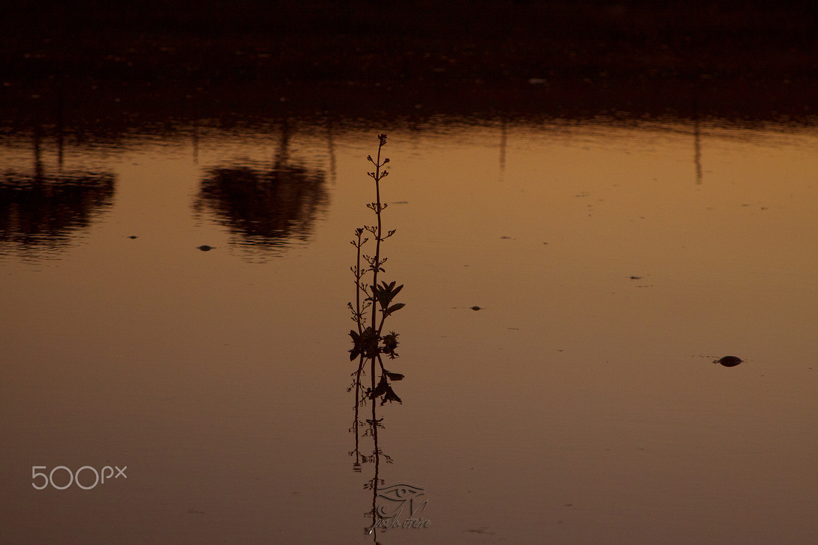 Canon EF 28-105mm f/3.5-4.5 USM sample photo. Winter alchemy photography