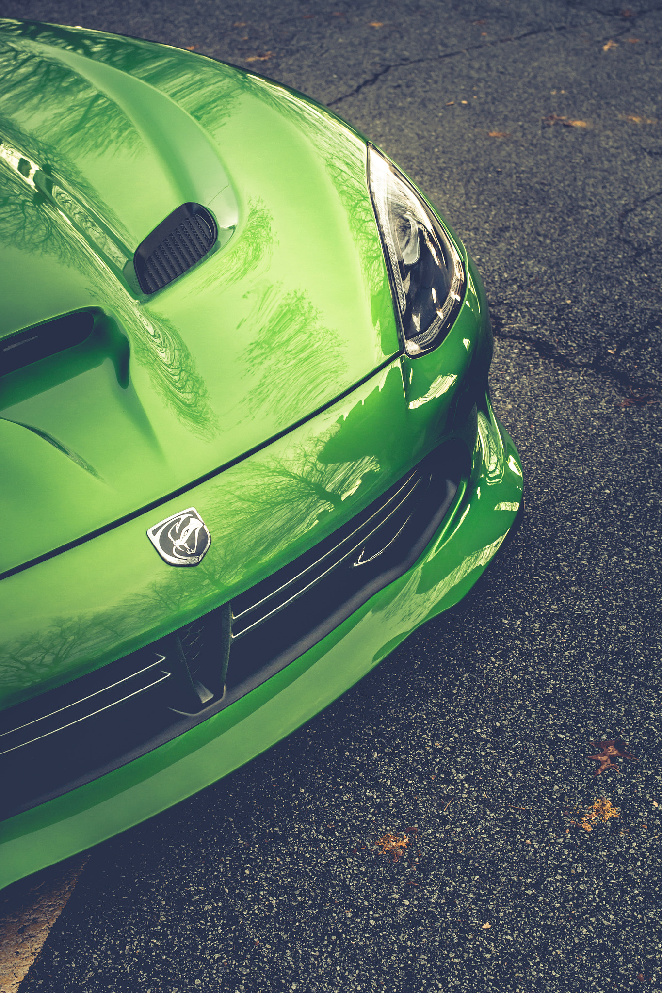 Canon EOS 70D + Canon EF 35mm F2 IS USM sample photo. Green venom photography