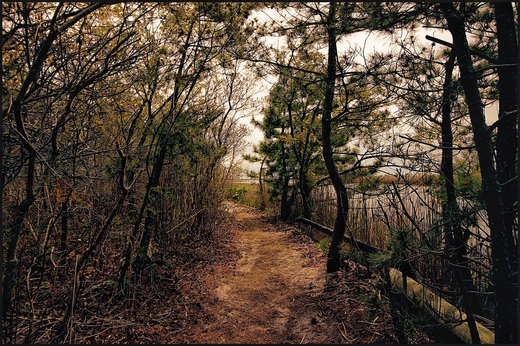Canon EOS 600D (Rebel EOS T3i / EOS Kiss X5) sample photo. Path... photography